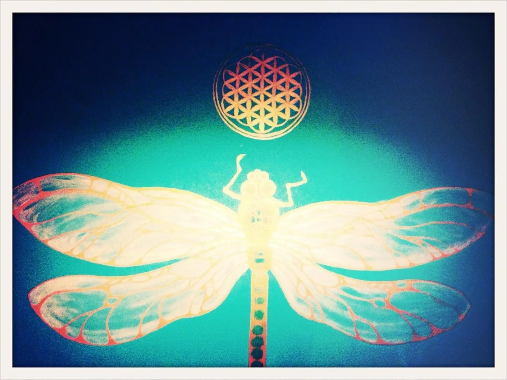 On site in Dragonfly Village