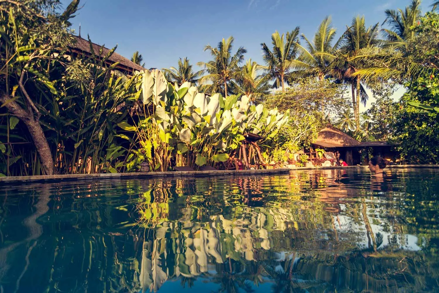 Swimming pool in Dragonfly Village