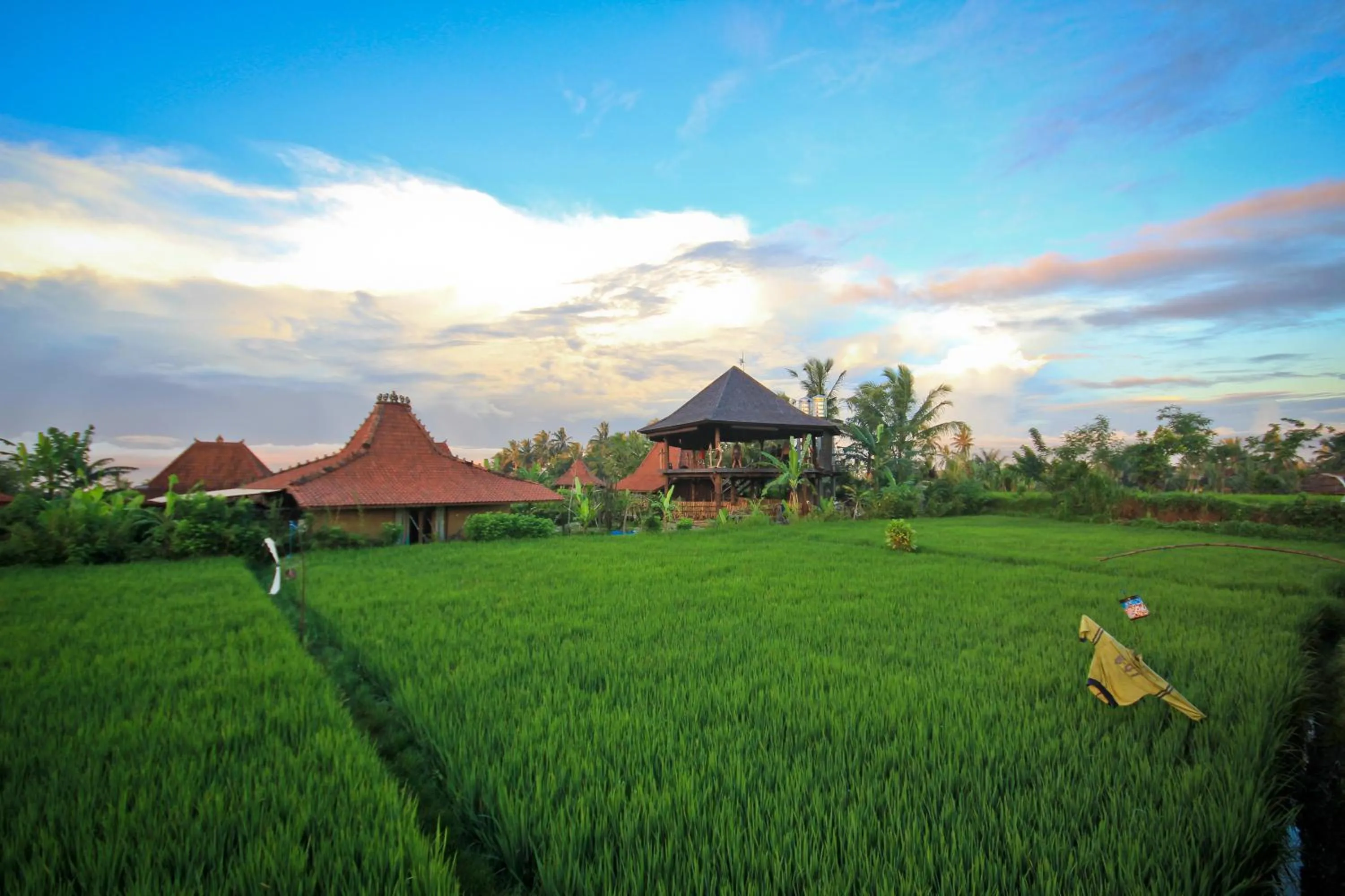 Bird's eye view in Dragonfly Village