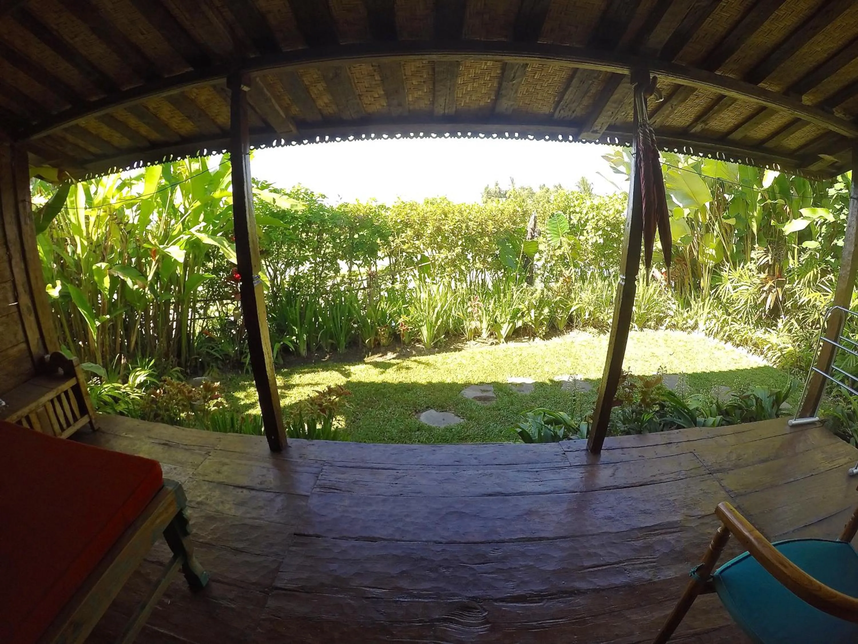 Garden in Dragonfly Village