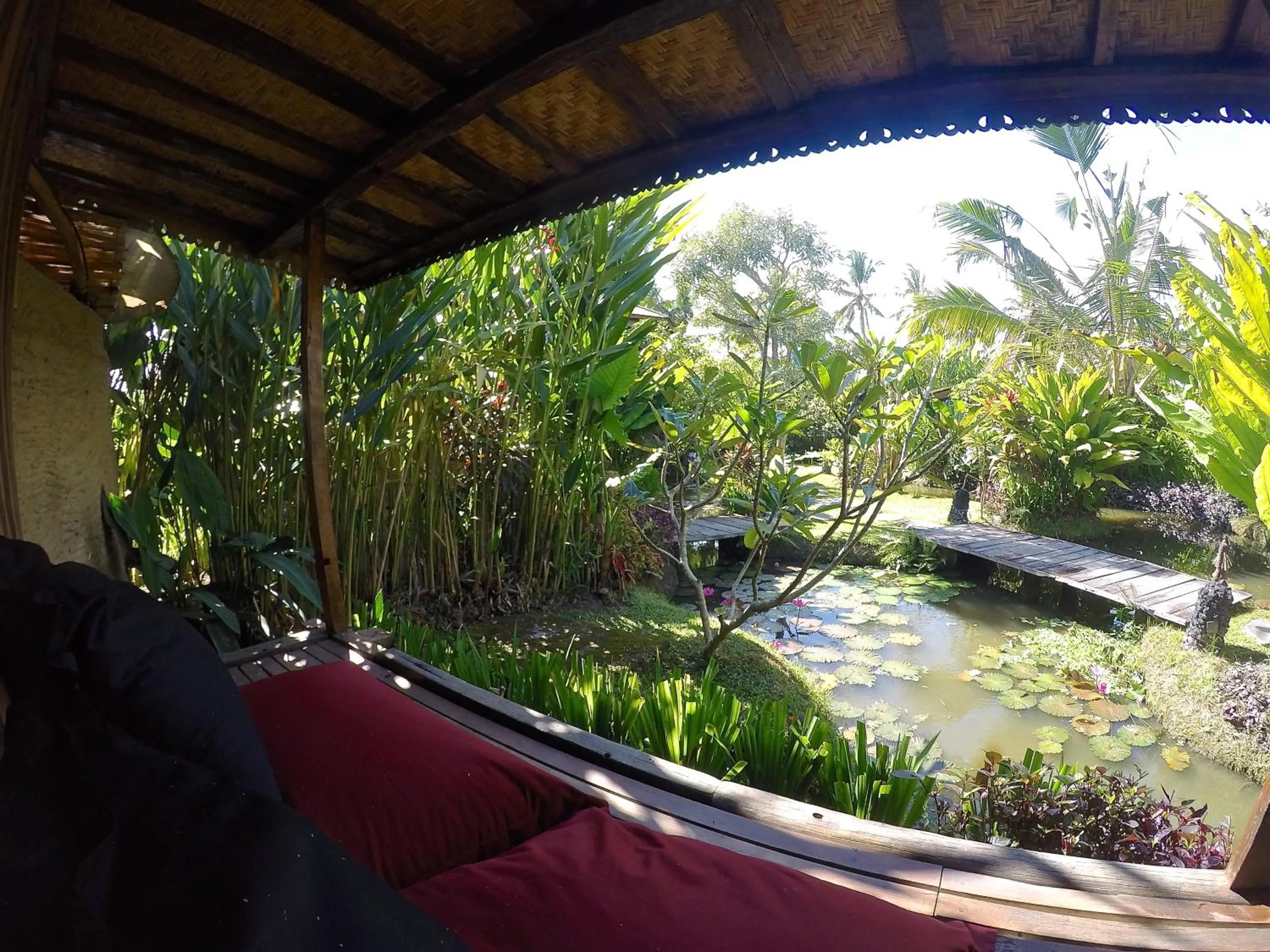 Garden in Dragonfly Village