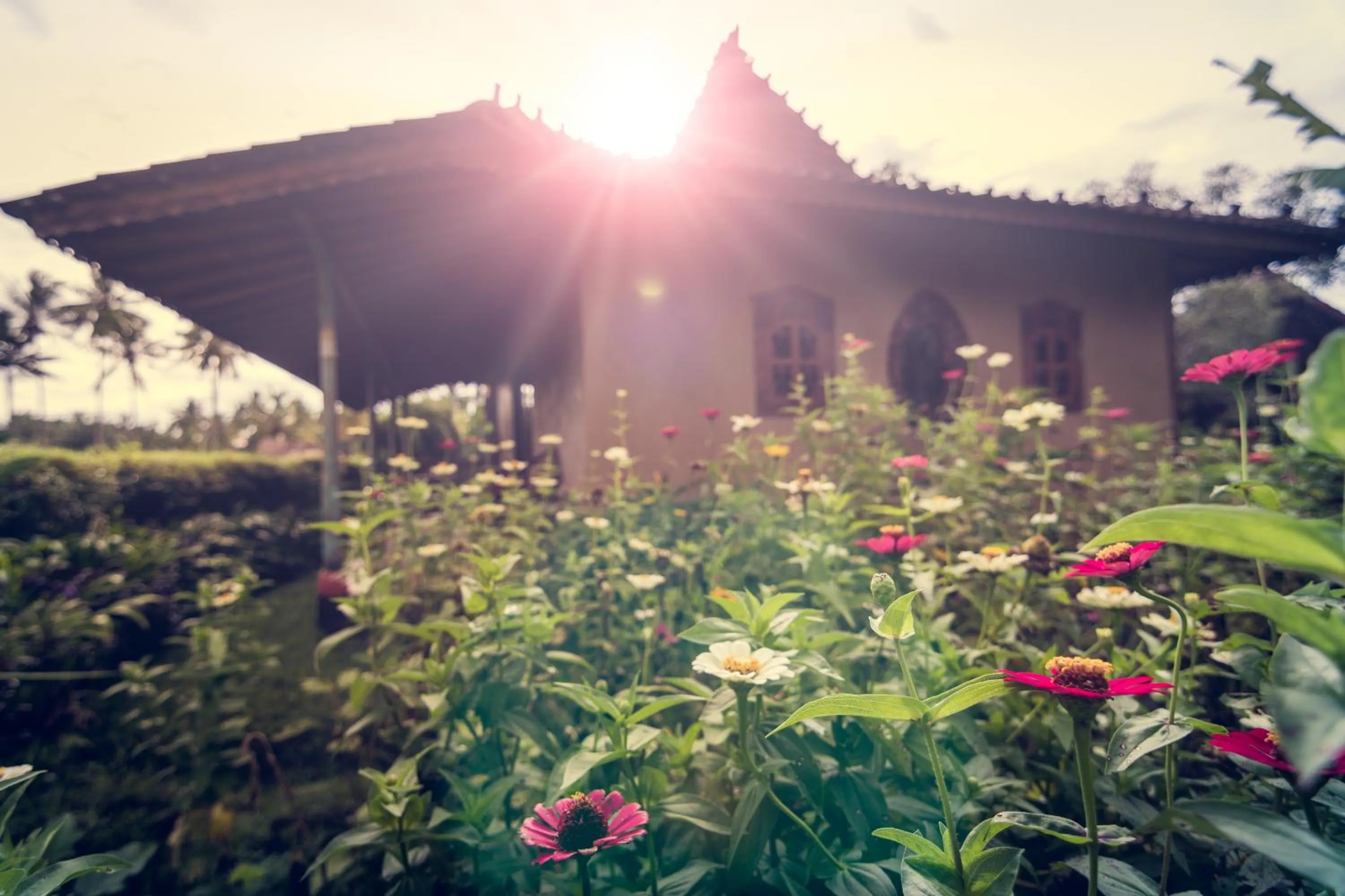 Garden in Dragonfly Village