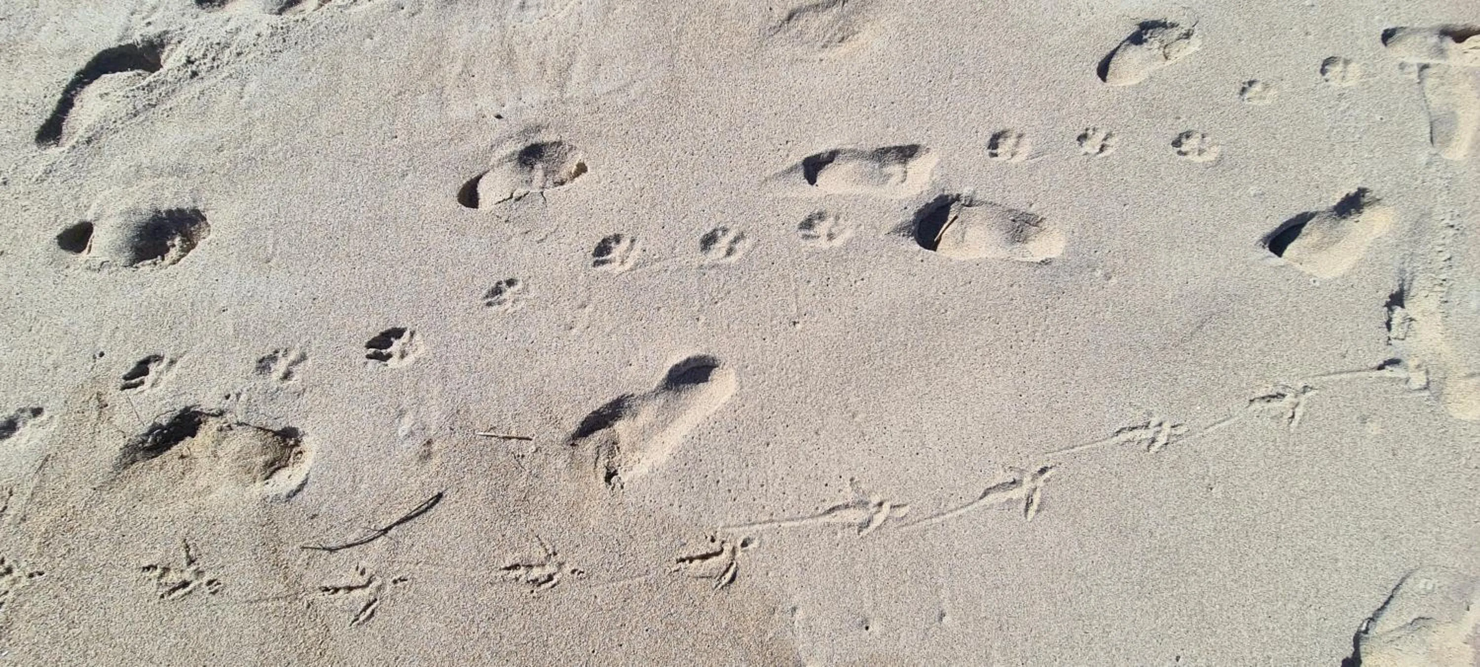 Beach in Canto dos Pássaros Suítes