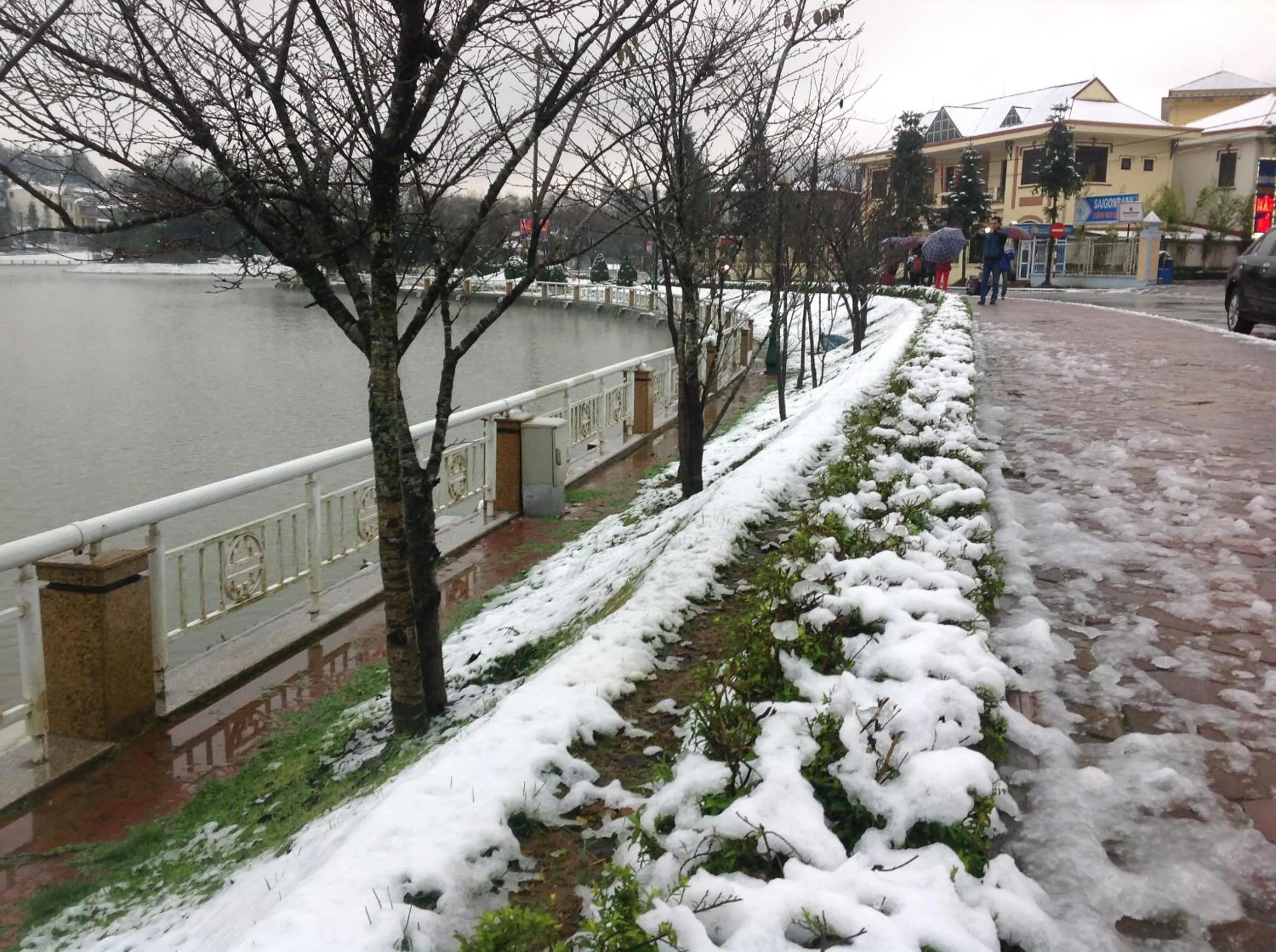 Natural landscape in Sapa Lake View Hotel