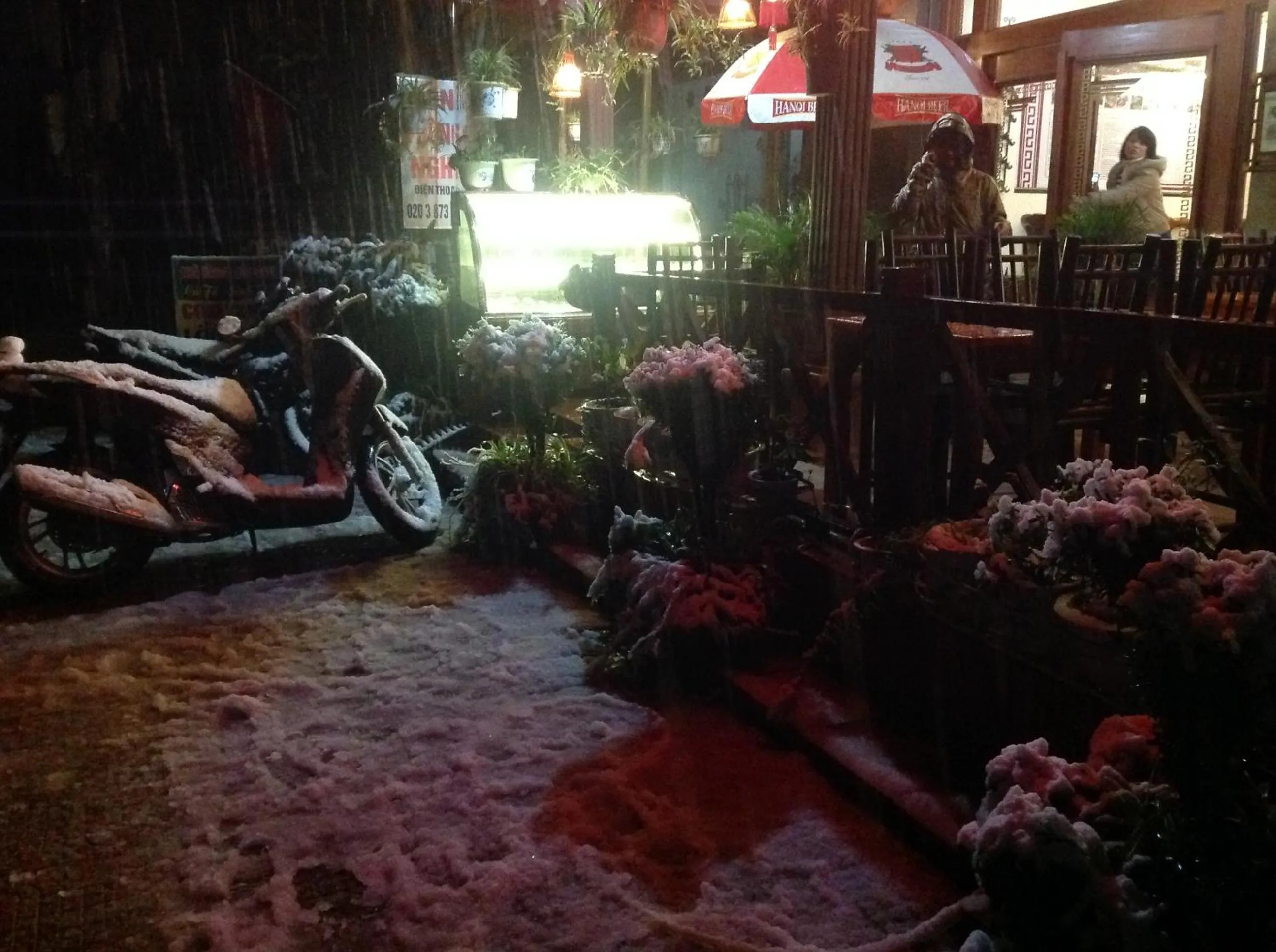 Natural landscape in Sapa Lake View Hotel