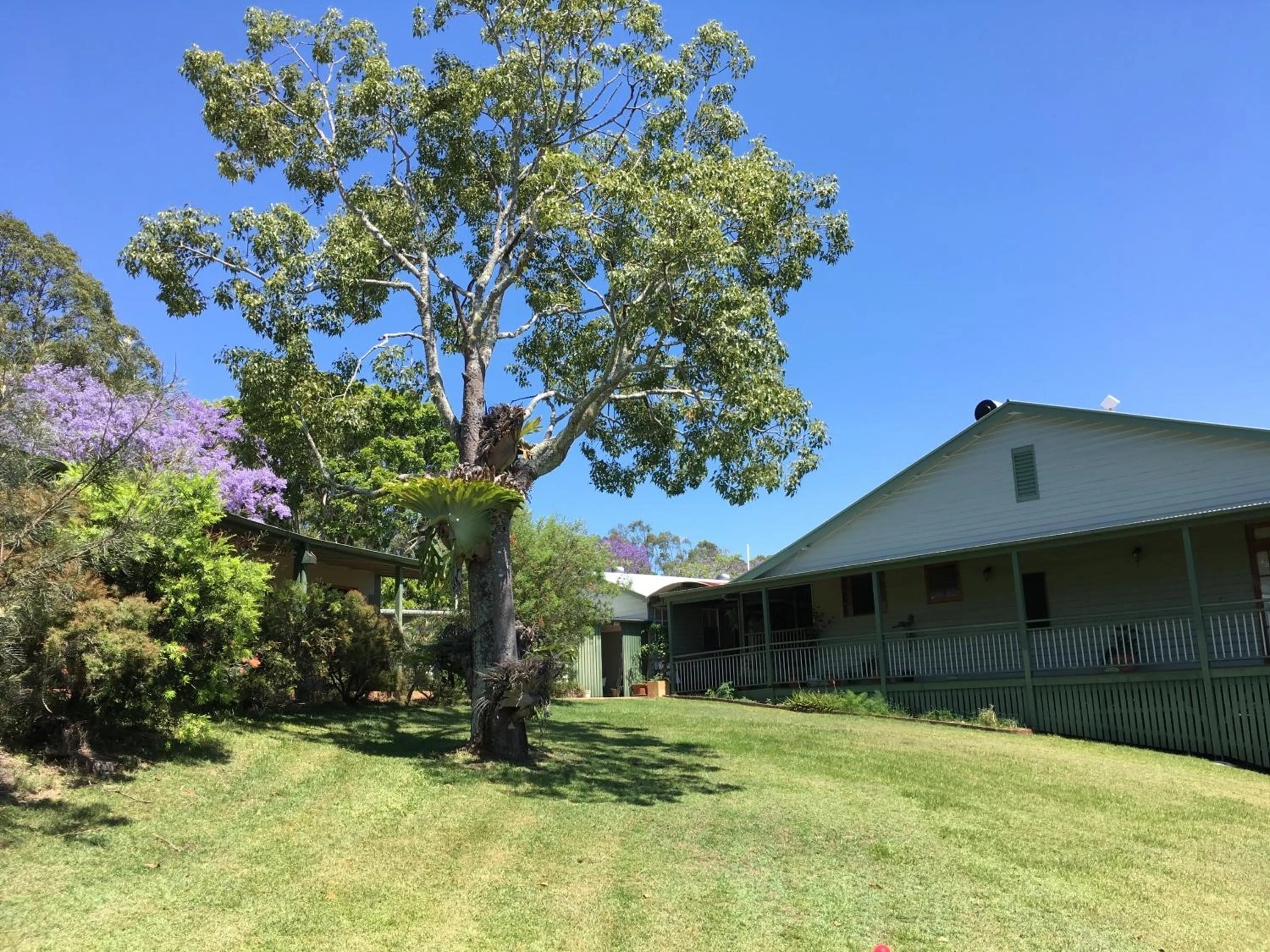 Garden in Amamoor Lodge