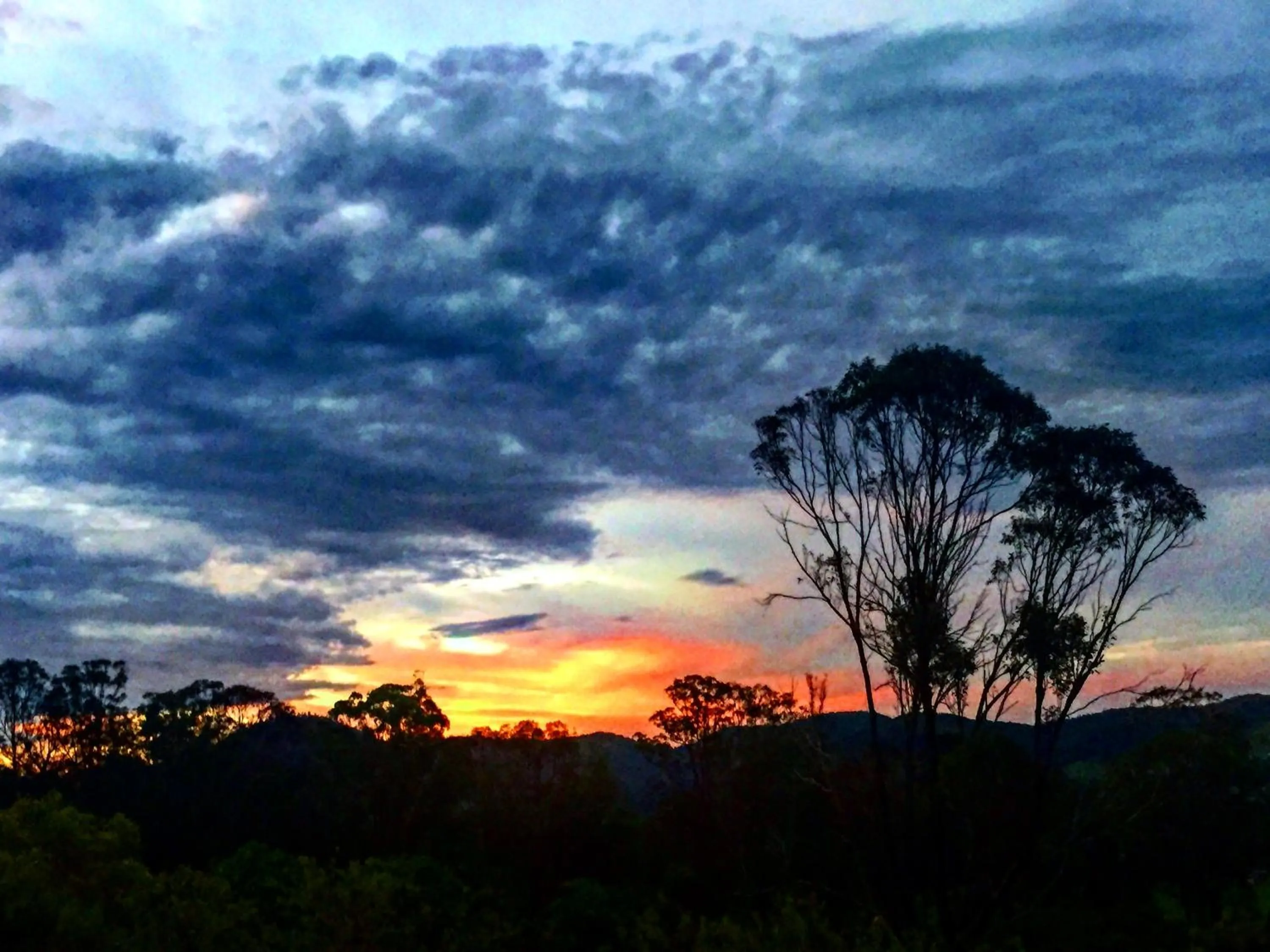 Summer in Amamoor Lodge