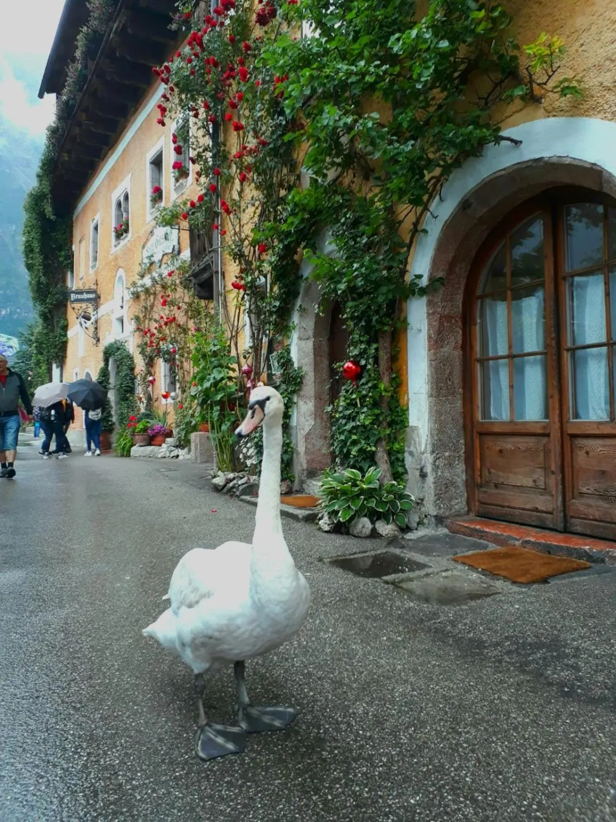Property building in Bräugasthof Hallstatt