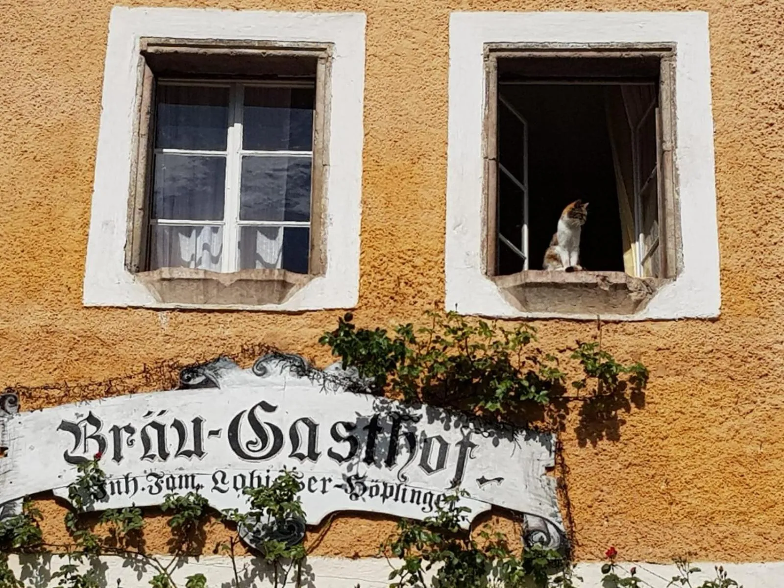 Property building in Bräugasthof Hallstatt