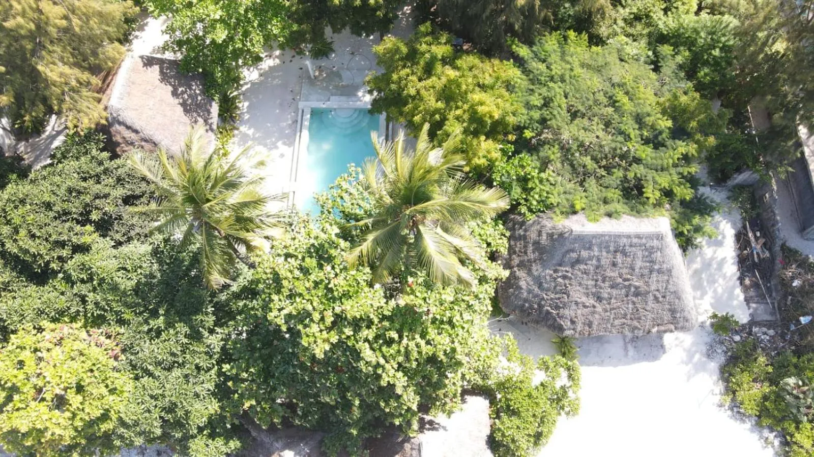 Garden in Garden Beach Bungalows Jambiani