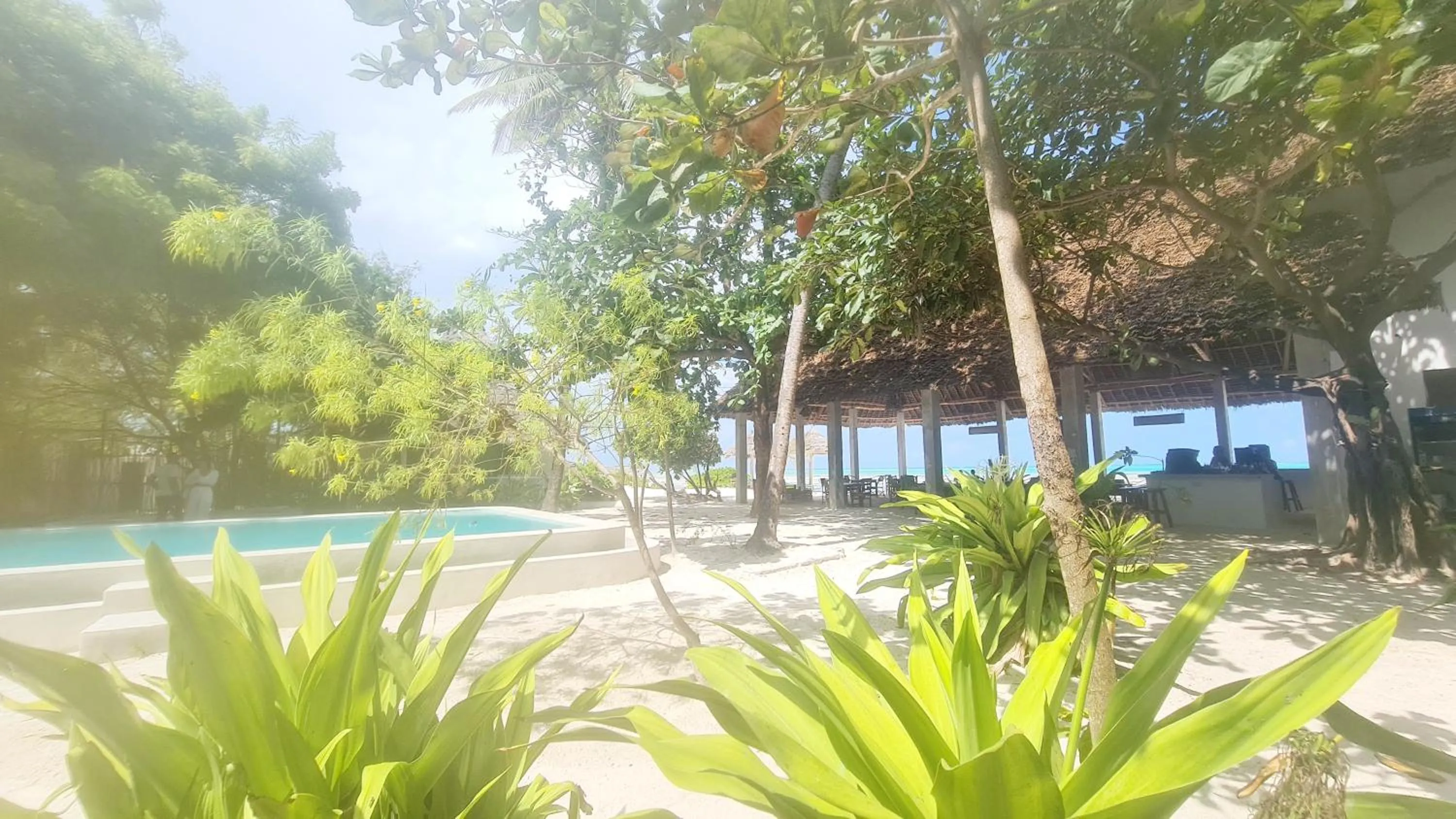 Garden in Garden Beach Bungalows Jambiani