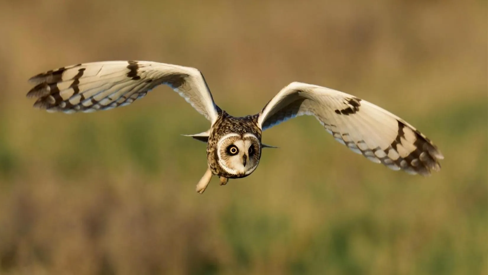 Bed and Breakfast Lauwersstate