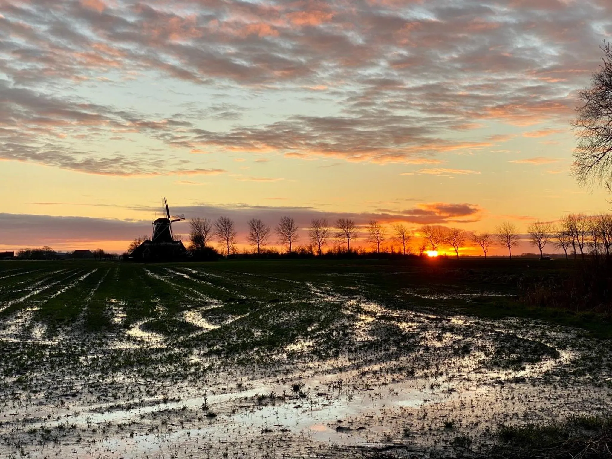 Natural landscape in Bed and Breakfast Lauwersstate