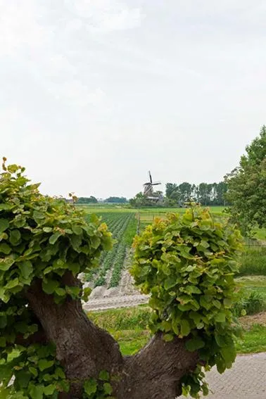 Natural landscape in Bed and Breakfast Lauwersstate