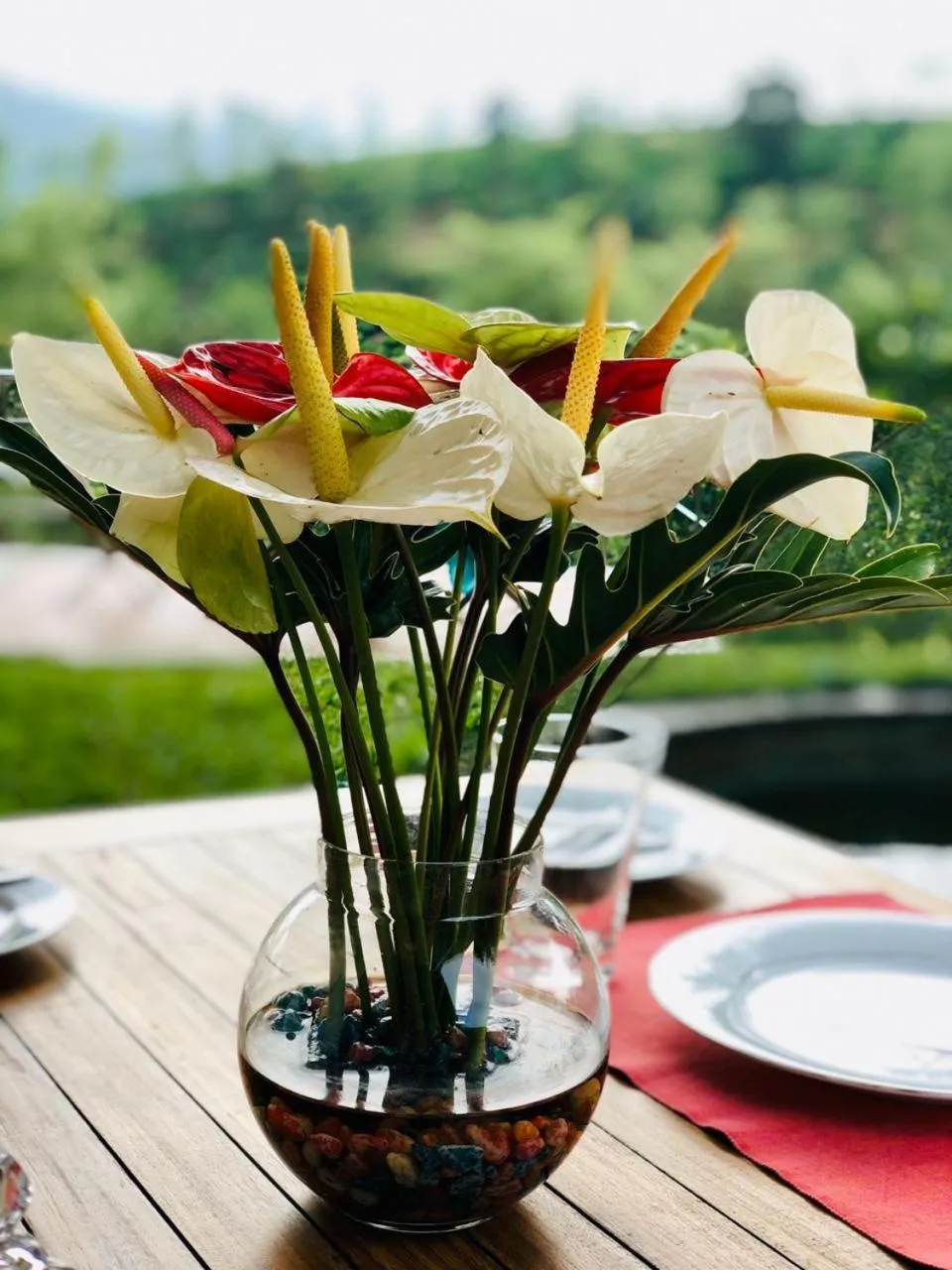 Garden view in Parisons Plantation Experiences by Abad