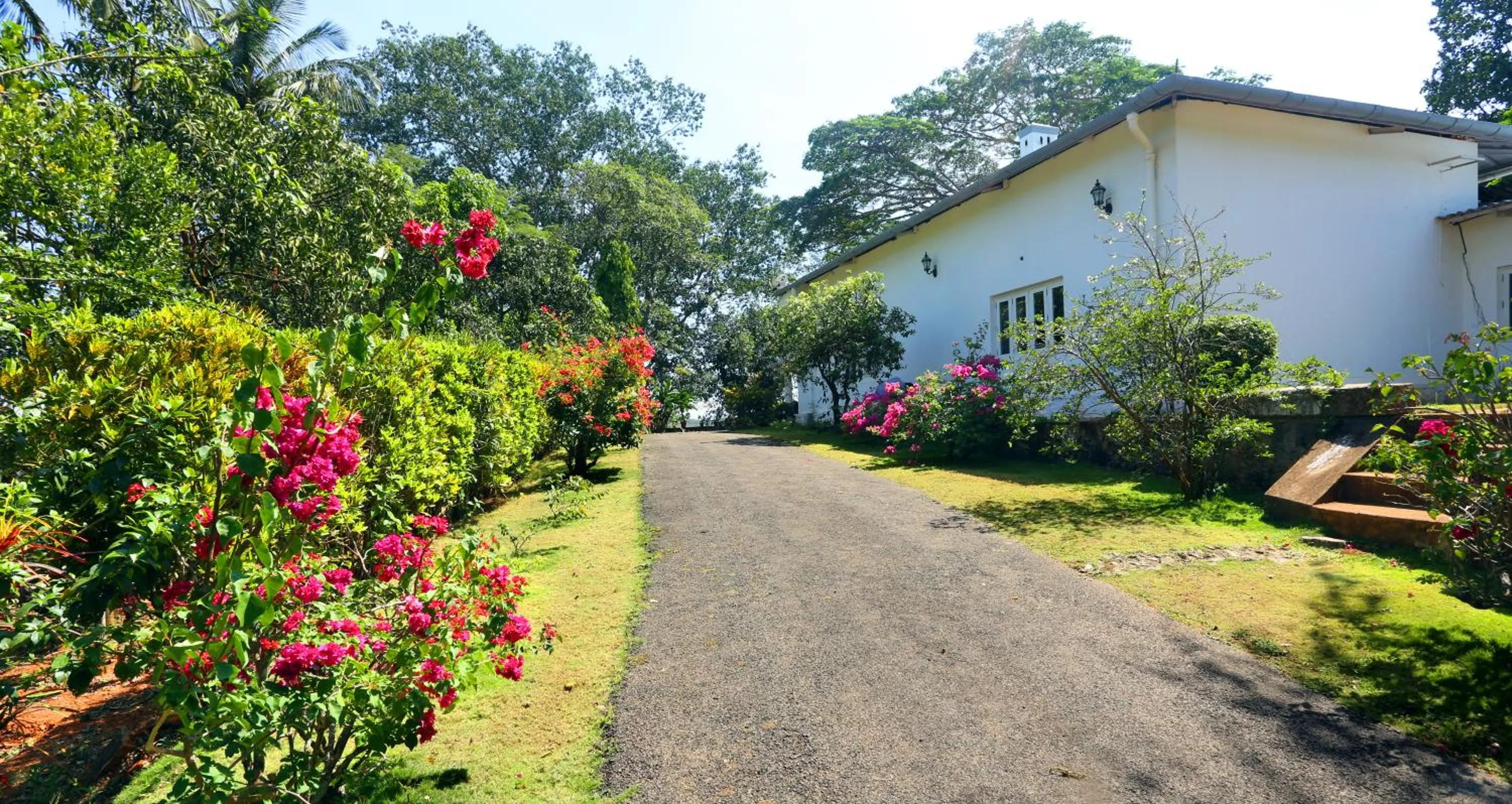 Property building in Parisons Plantation Experiences by Abad