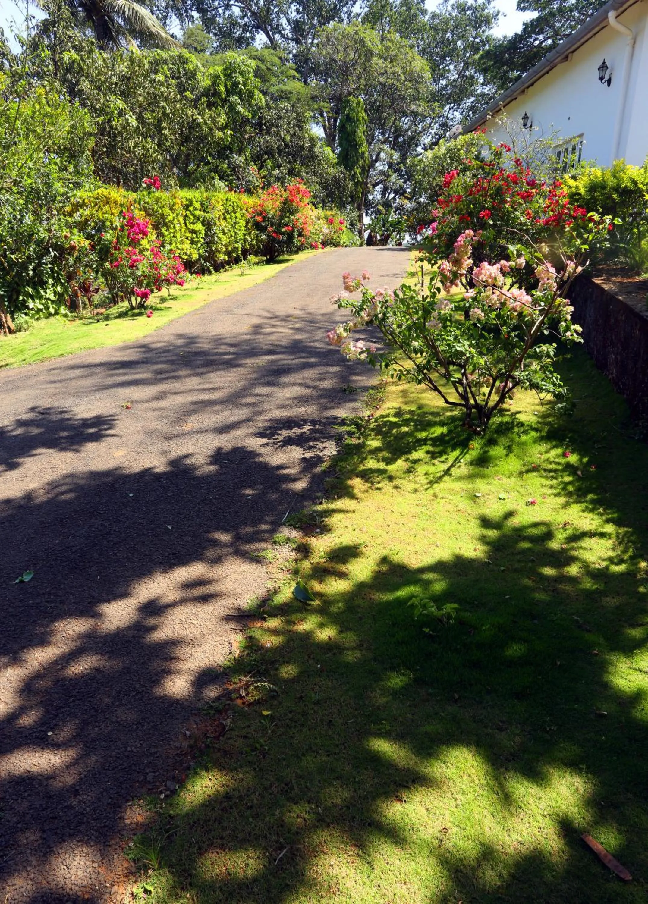 Property building in Parisons Plantation Experiences by Abad