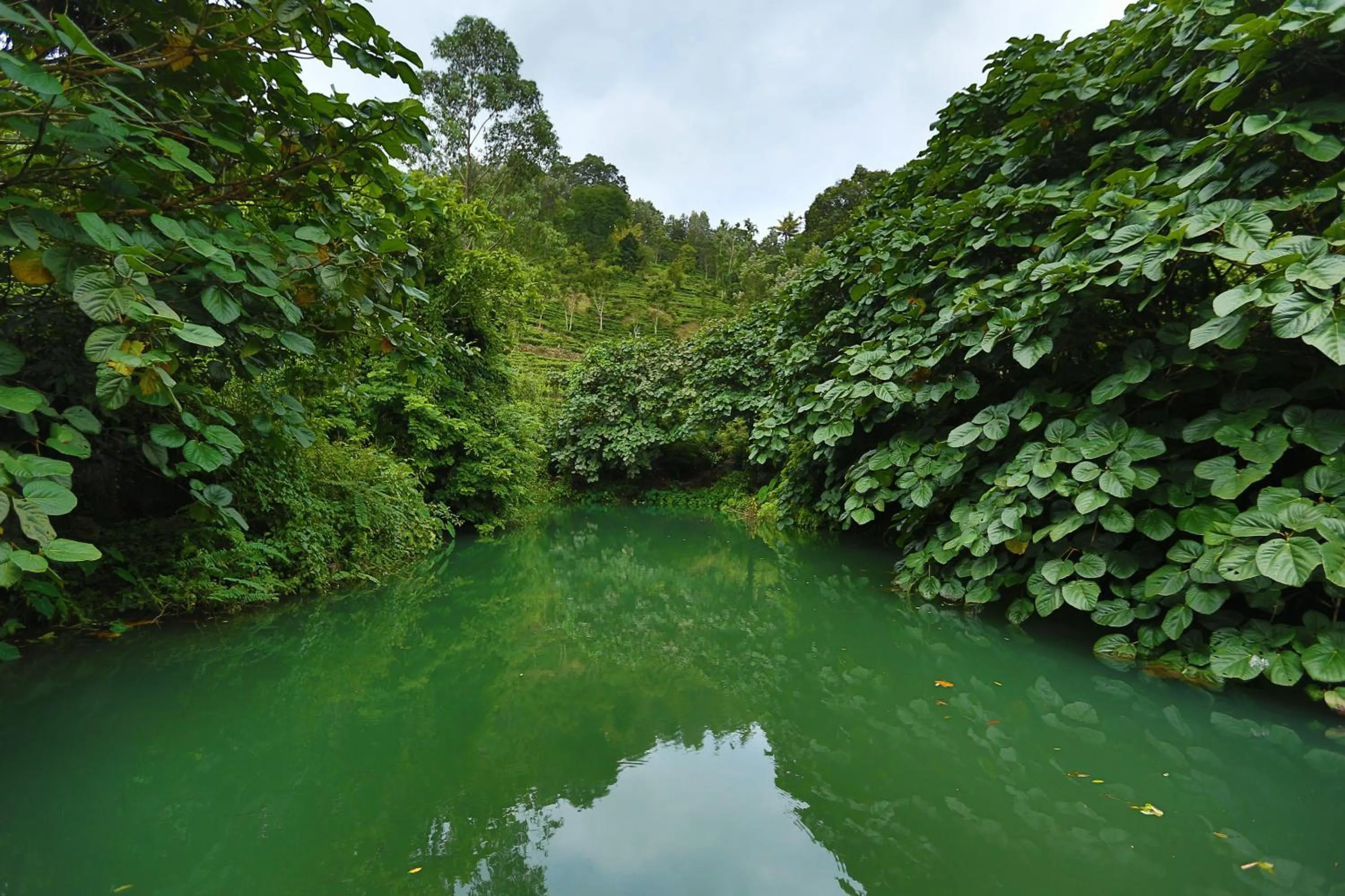 Fishing in Rivulet Resort