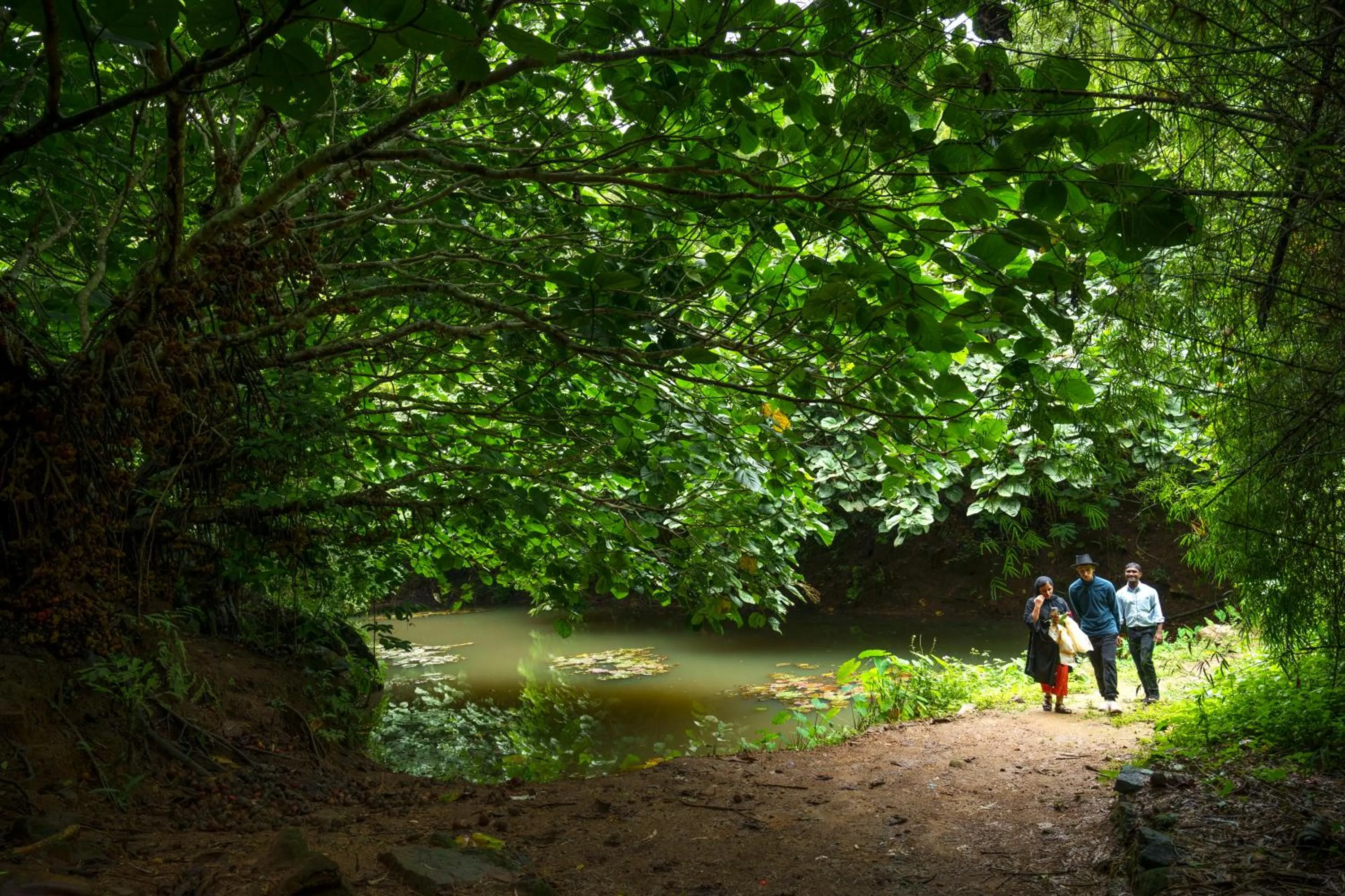 Natural landscape in Rivulet Resort