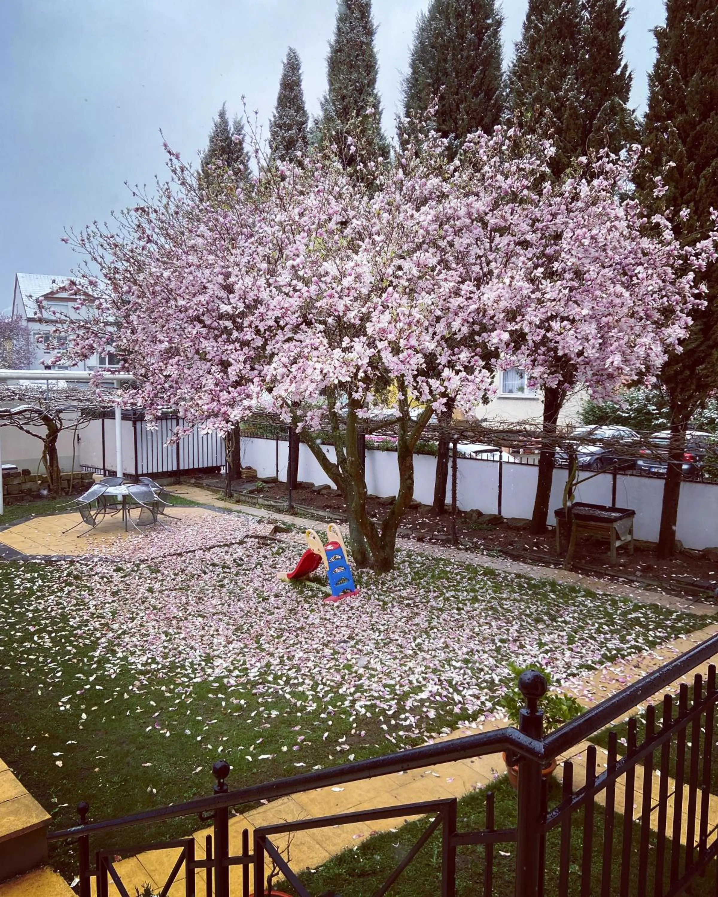Garden view in Hotel Hofmann Zur Mühle