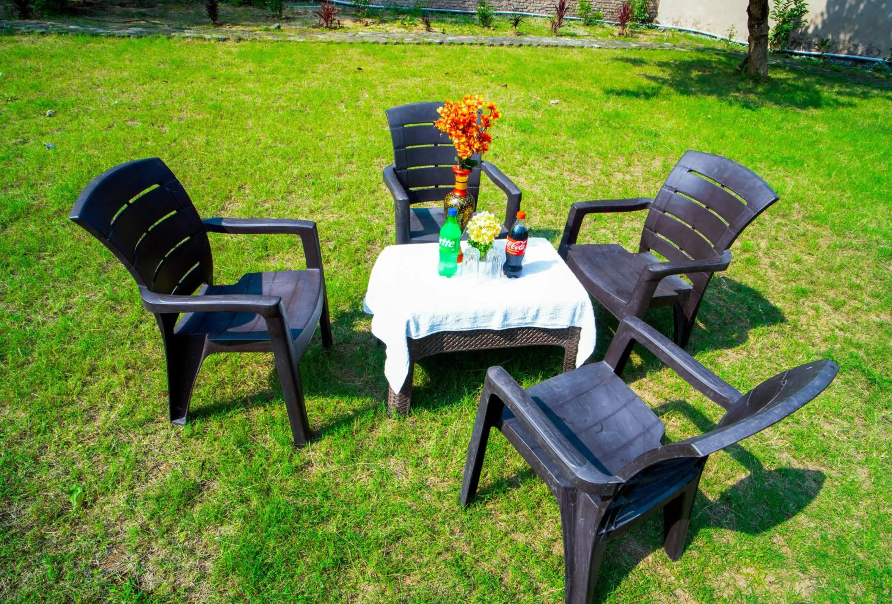 Garden in Hotel Jungle Palace Resort