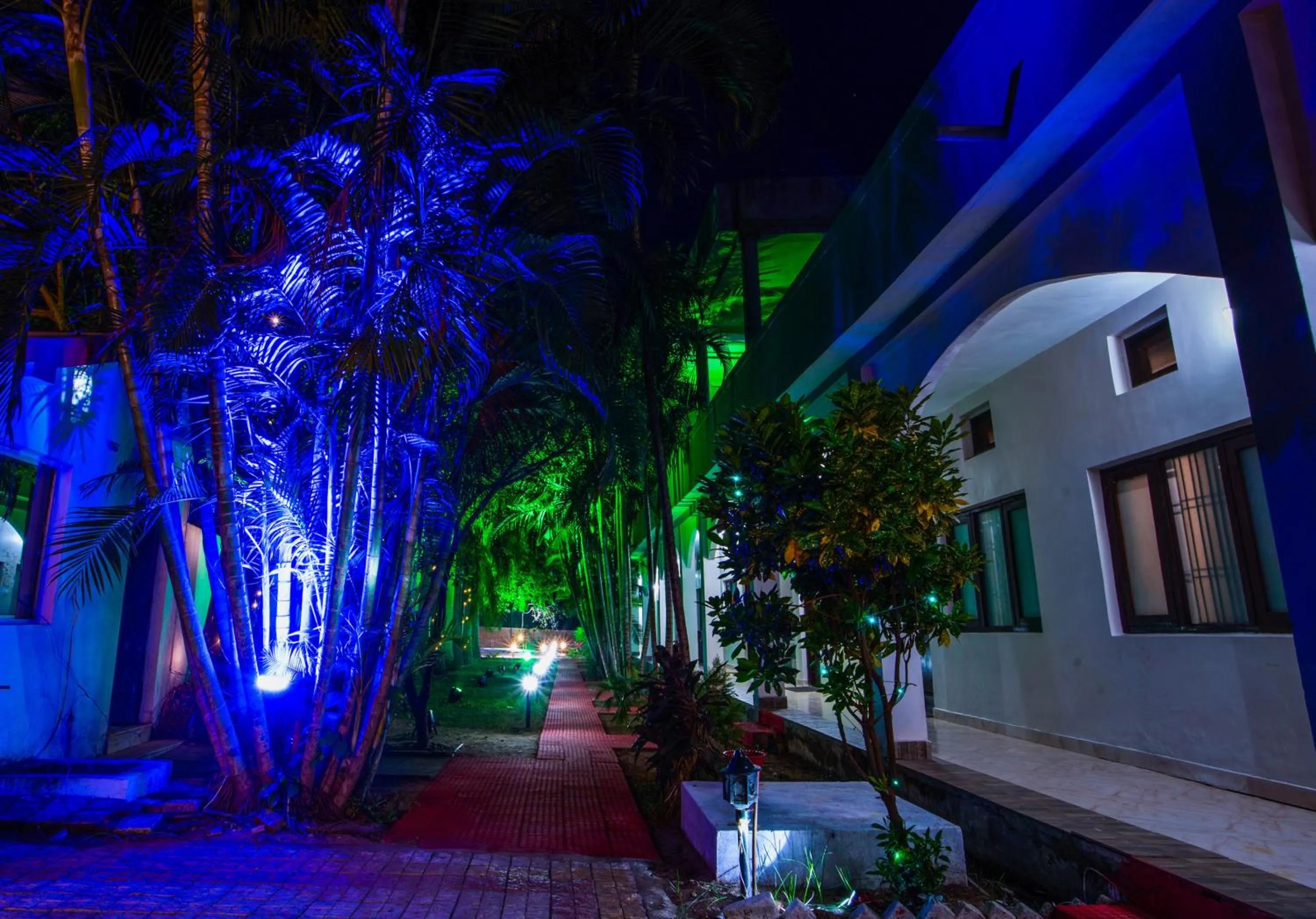 Garden in Hotel Jungle Palace Resort