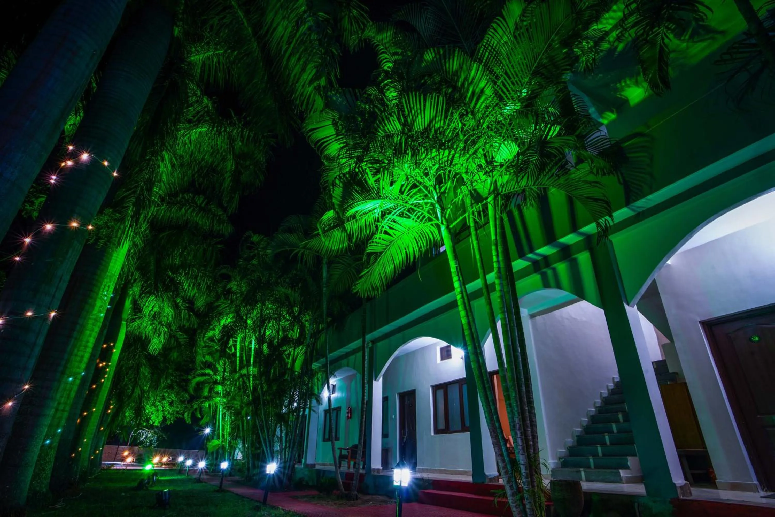 Garden in Hotel Jungle Palace Resort