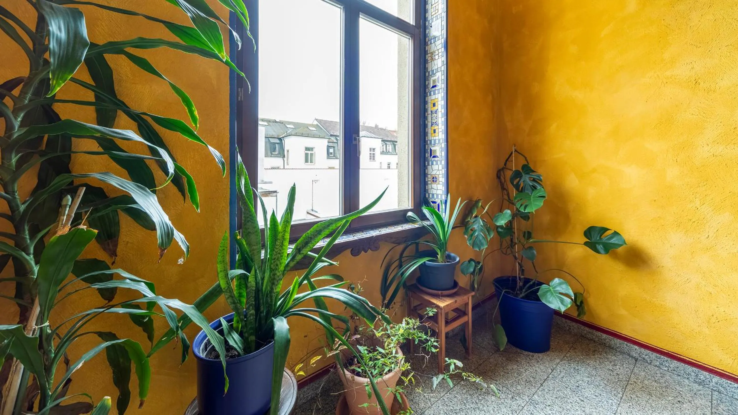 Property building in Gästehaus Mezcalero