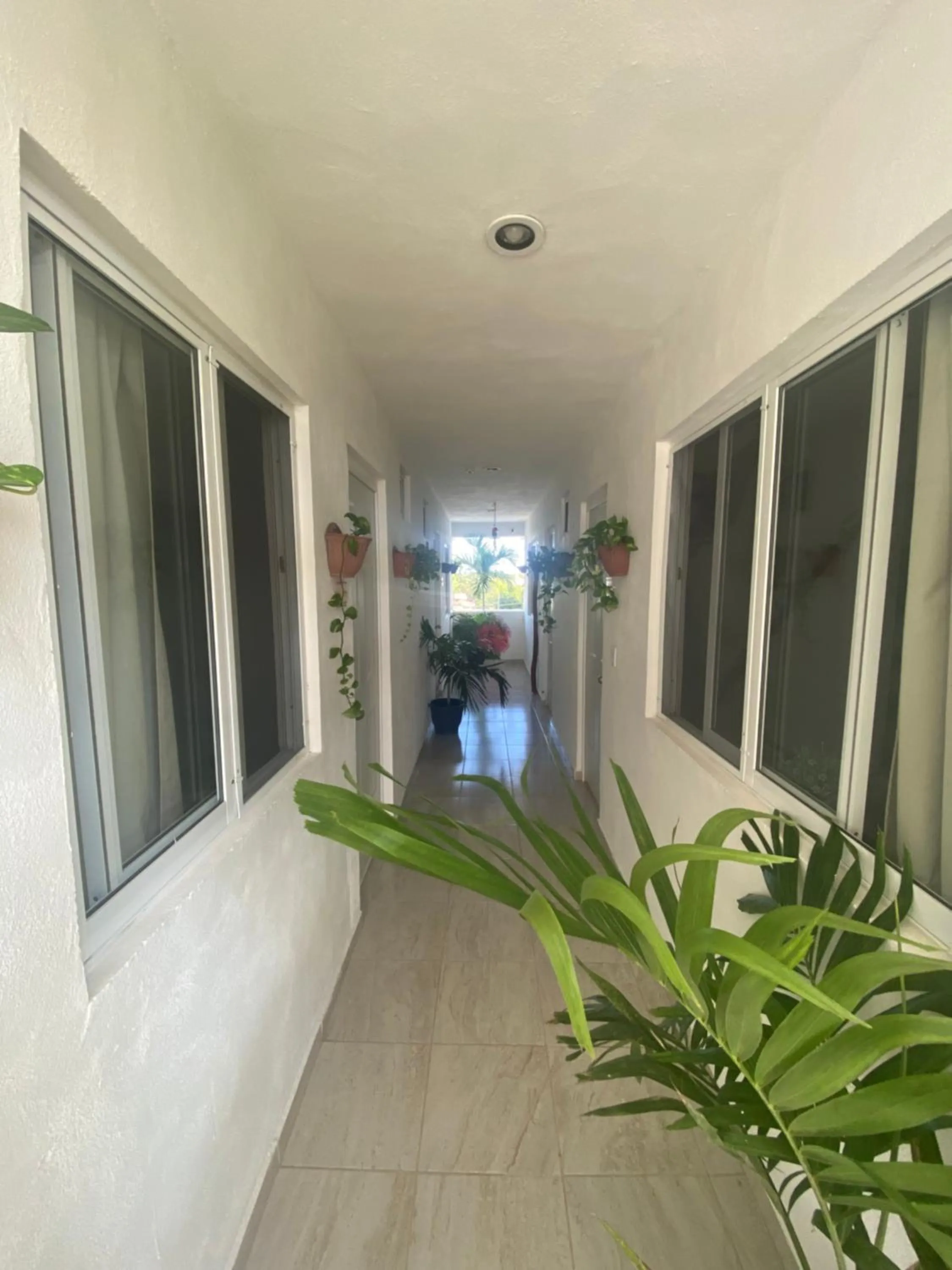 Property building in Puerto Morelos Hotel Las Palmas - Near the beach