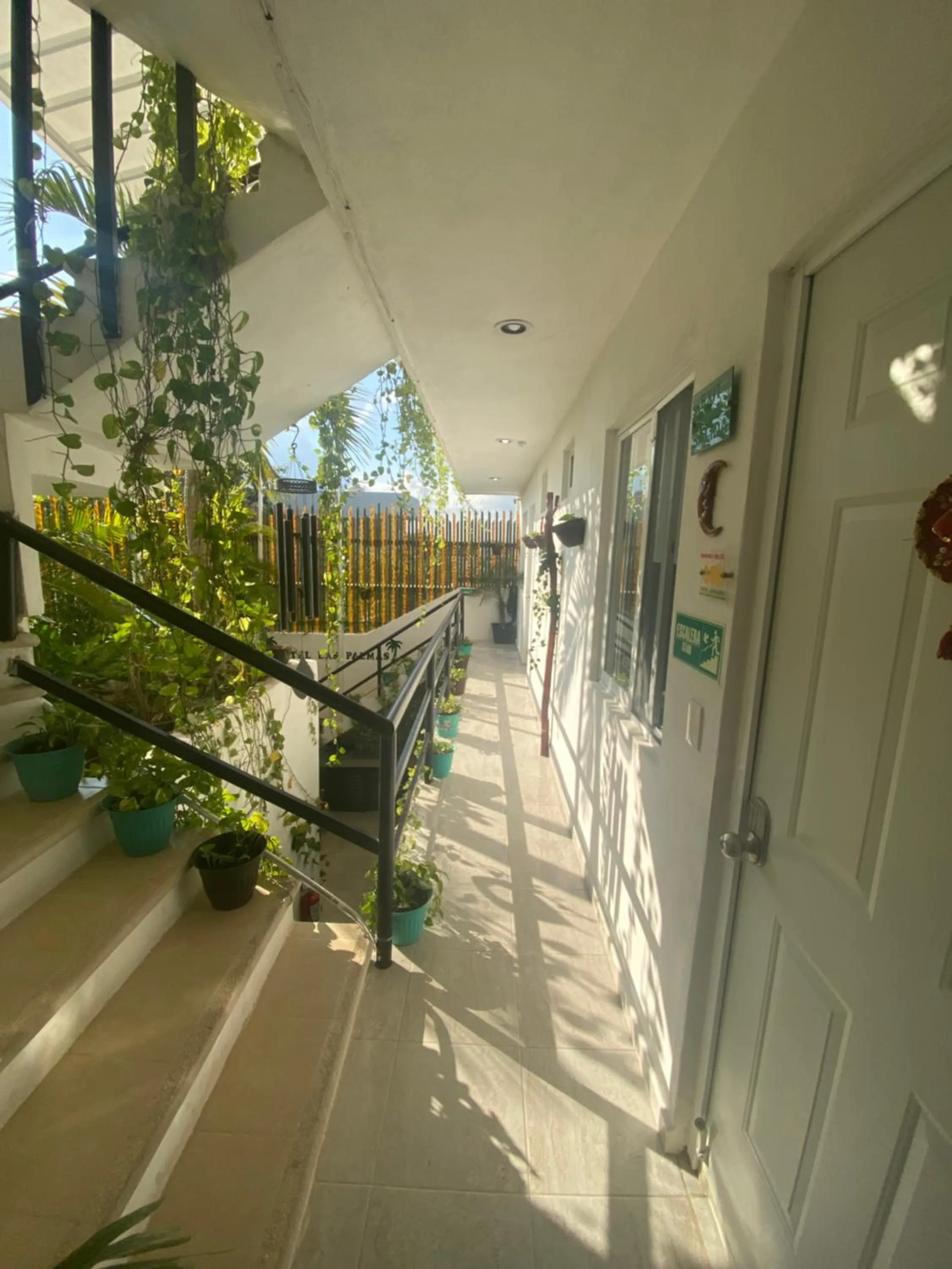 View (from property/room) in Puerto Morelos Hotel Las Palmas - Near the beach