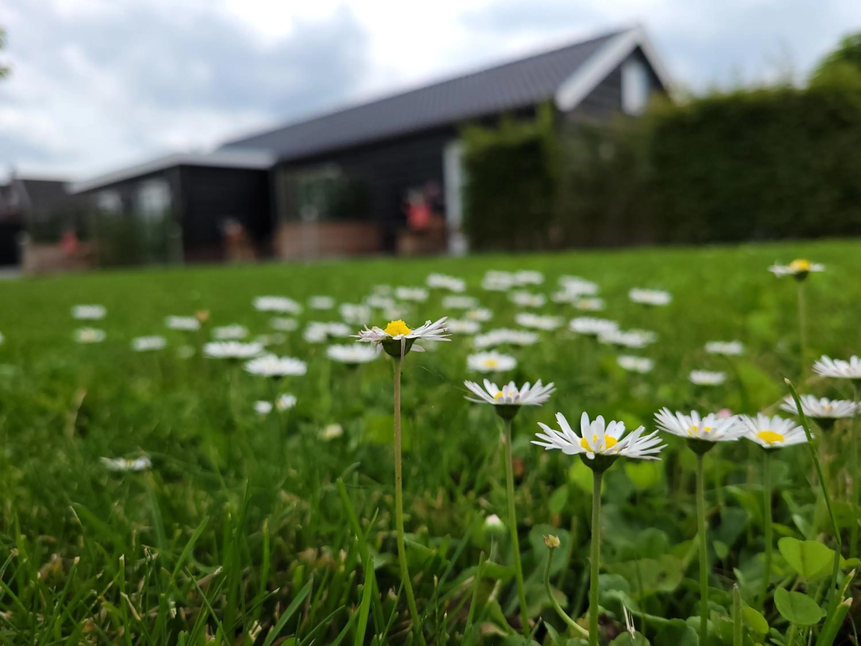 Spring in B&B Buutegeweun