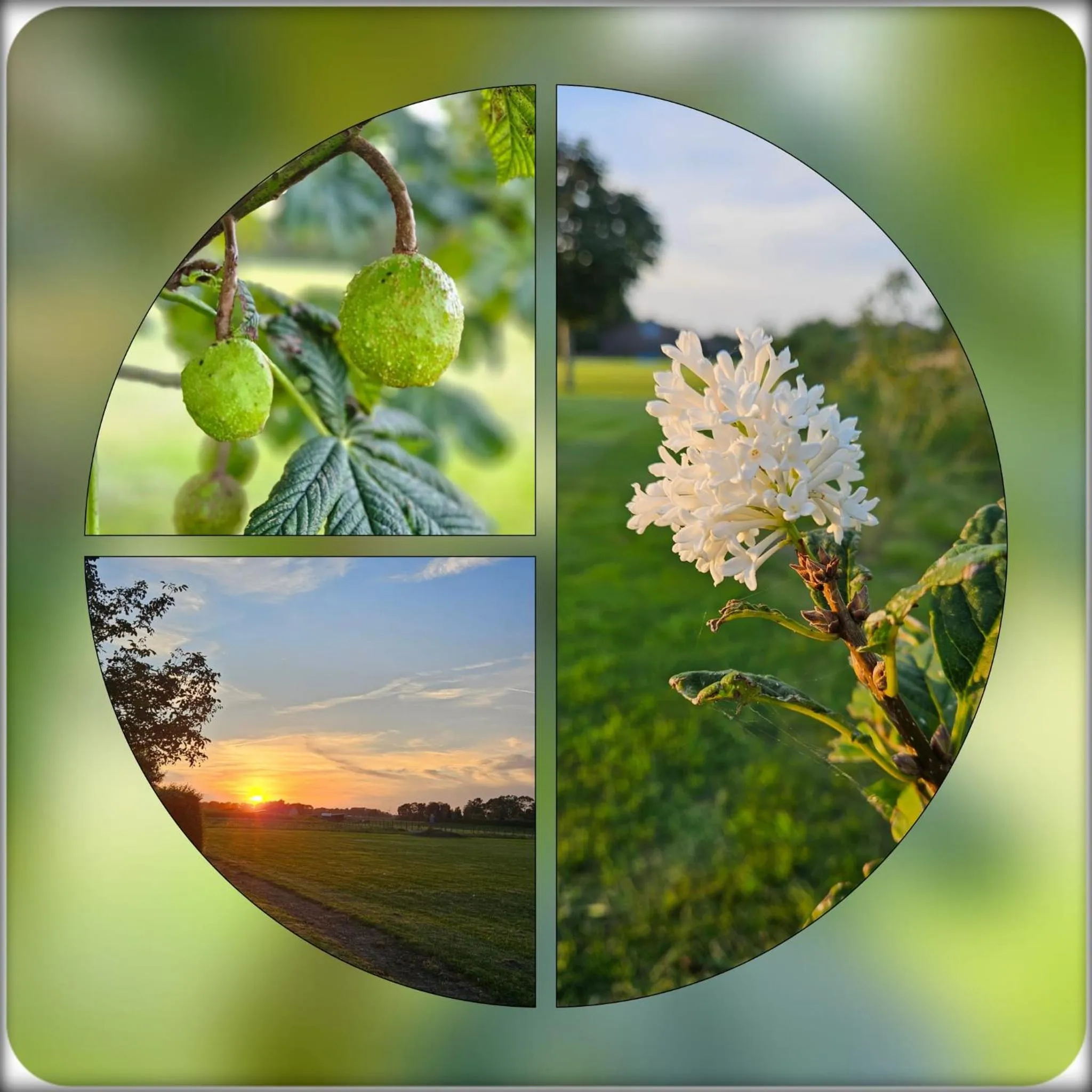 Spring in B&B Buutegeweun