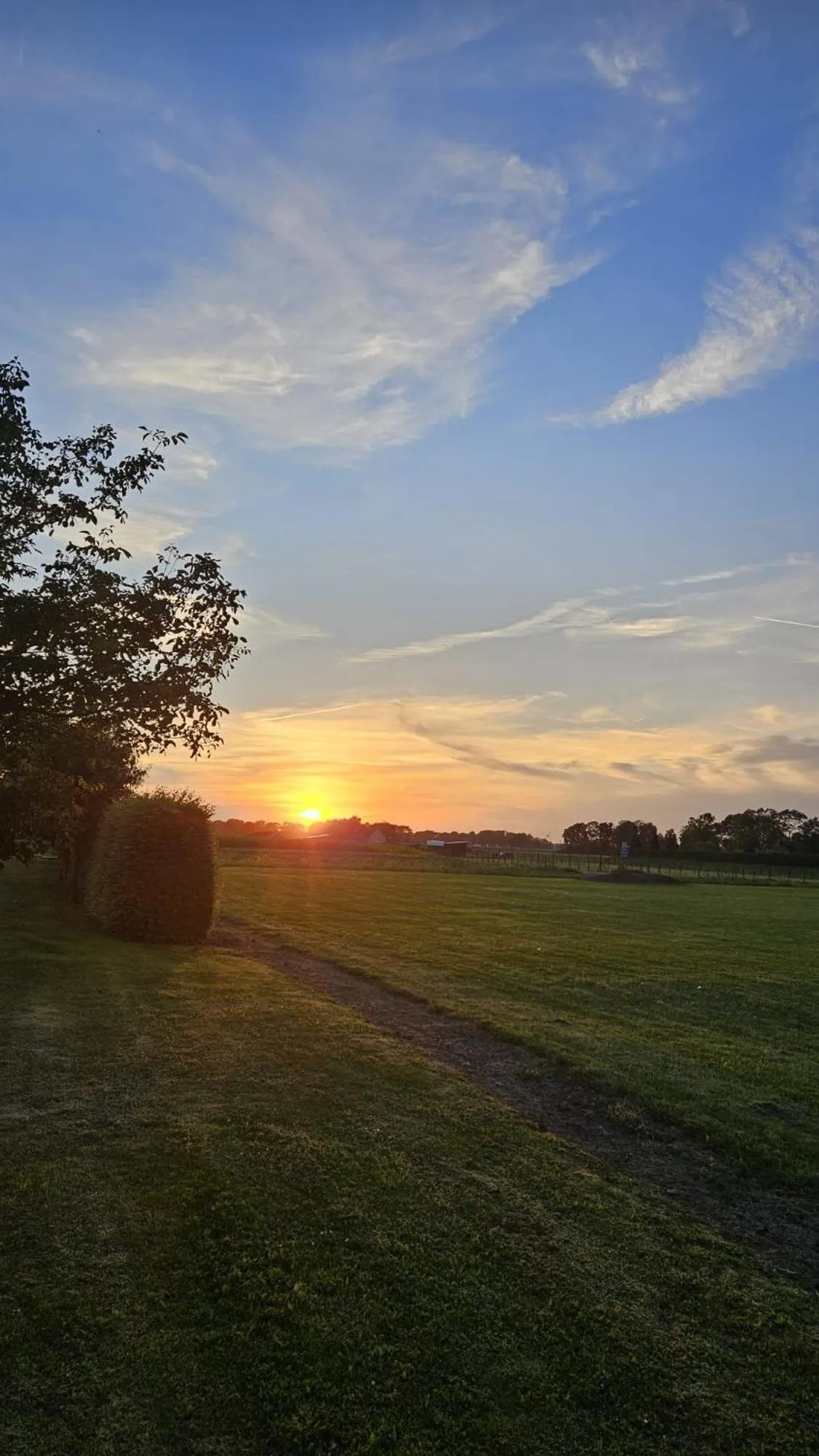 Natural landscape in B&B Buutegeweun