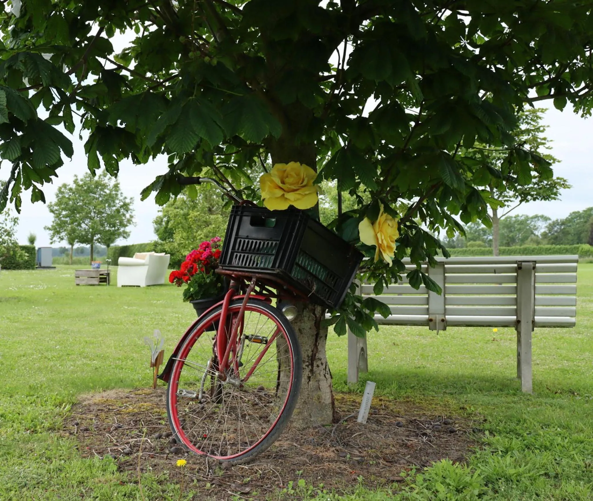 Spring in B&B Buutegeweun