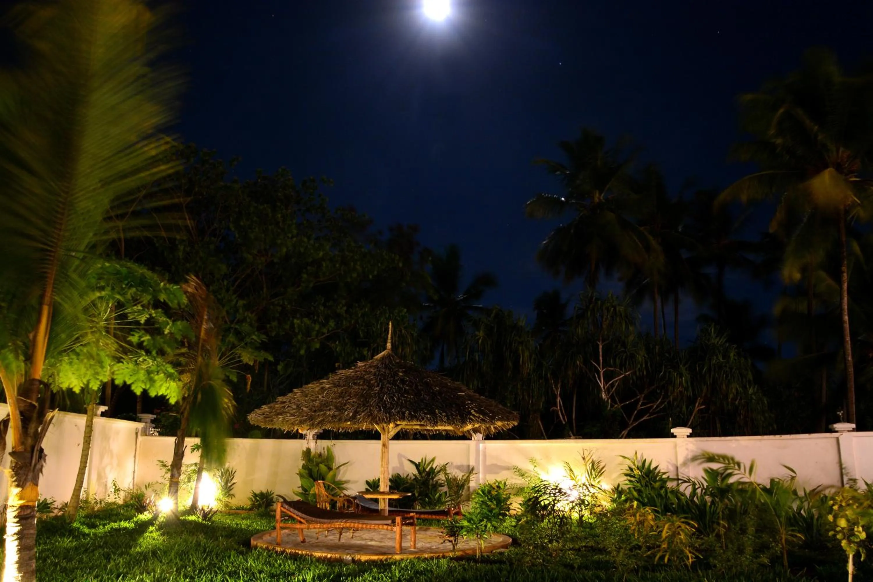 Garden in Zanoceanique Hotel