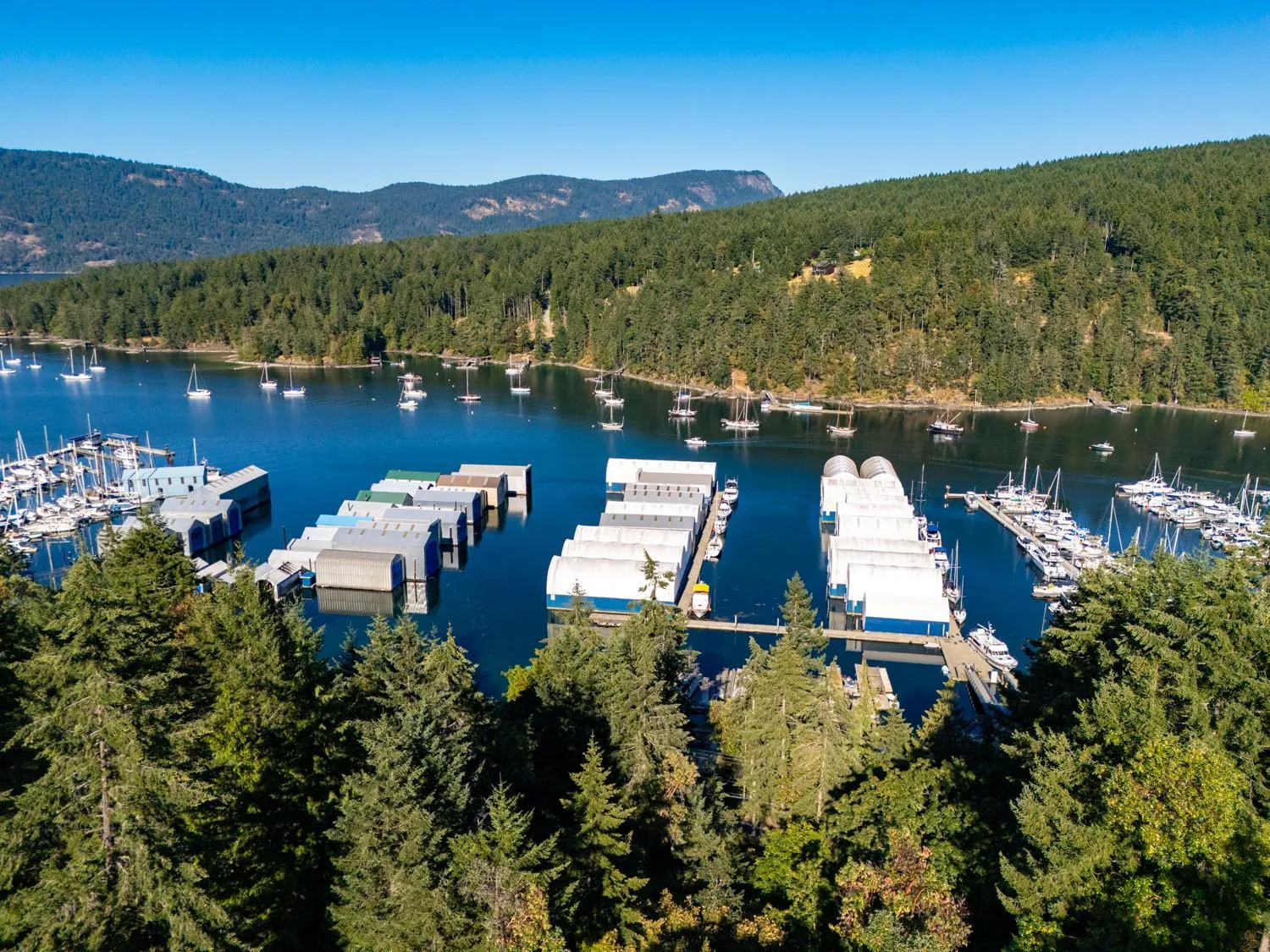 Sea view in Maple Rise Guesthouse