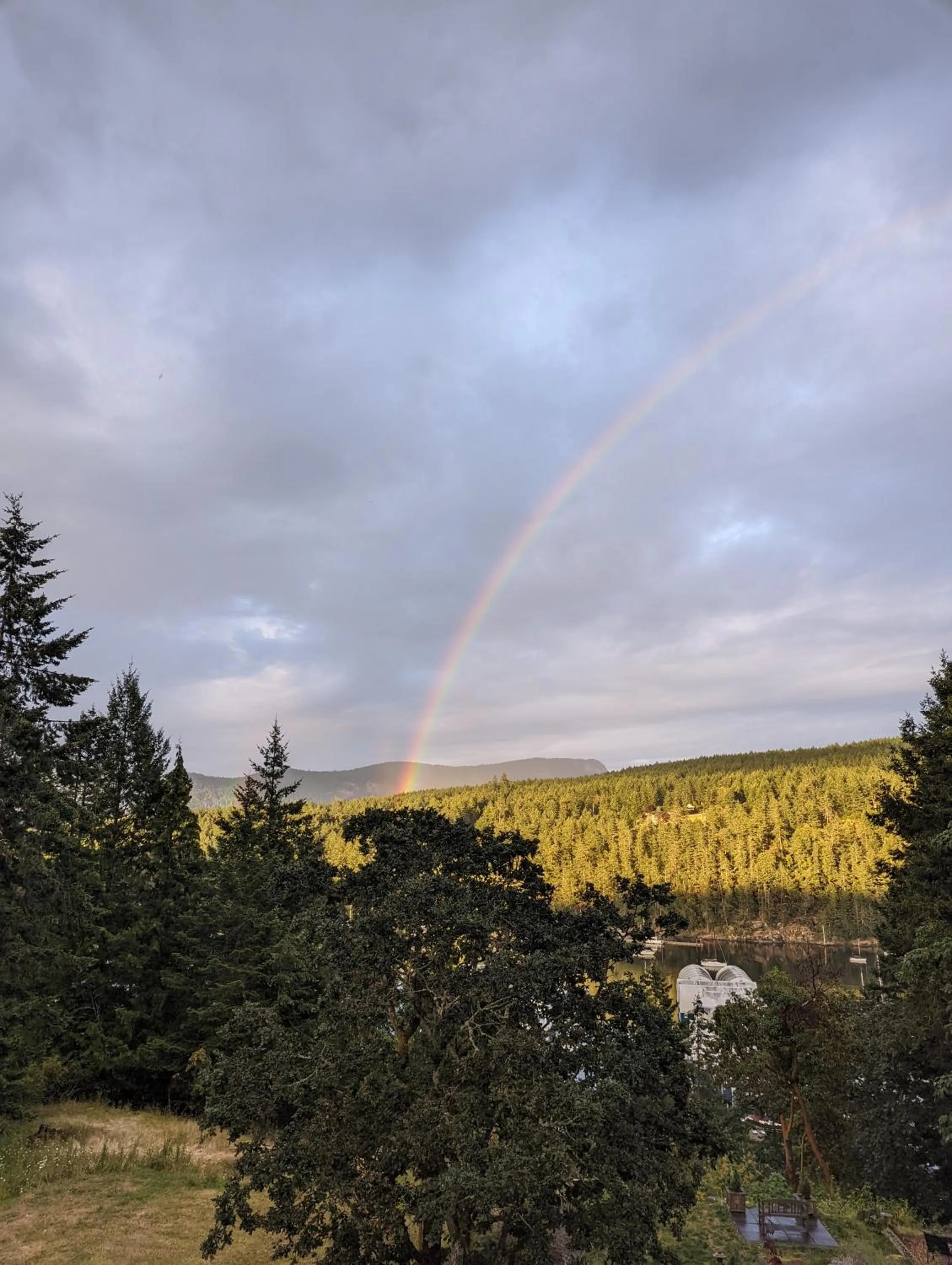 Garden in Maple Rise Guesthouse