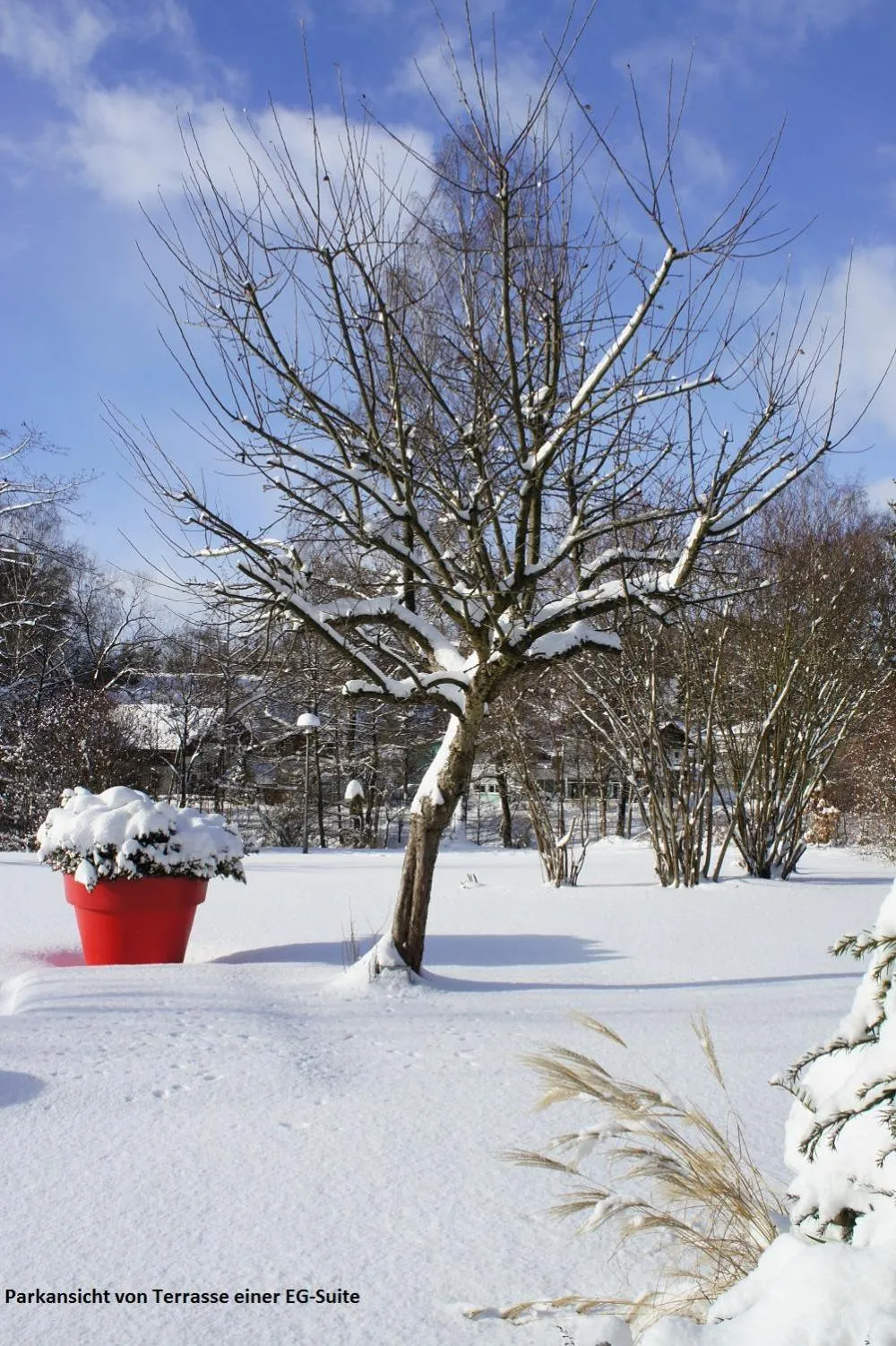 Garden in AngerResidenz