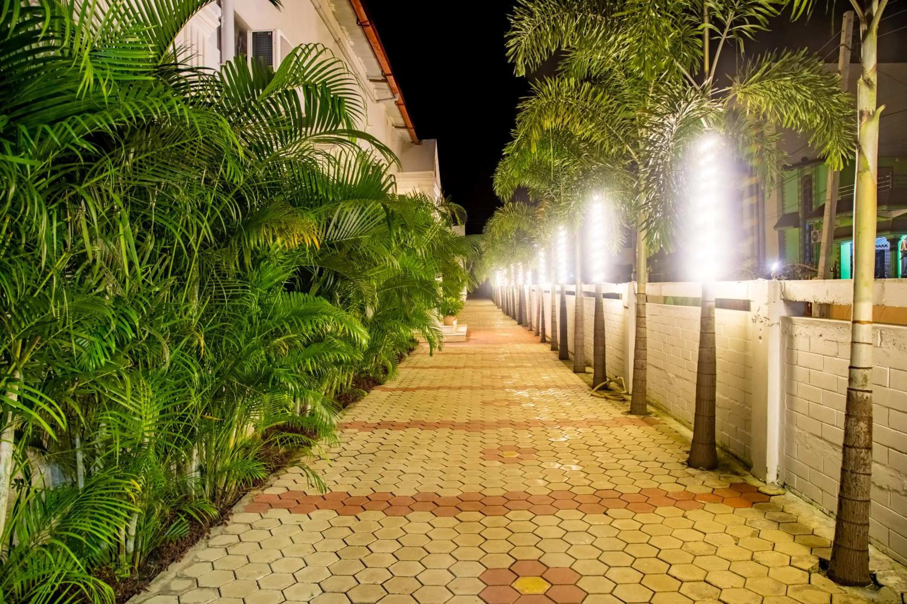 Garden in The SR Hotel