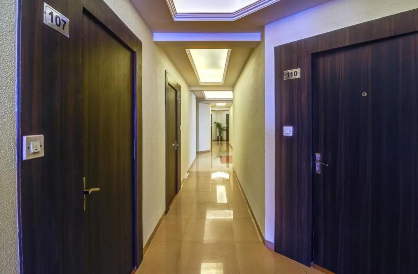Area and facilities in Hotel The Shagun