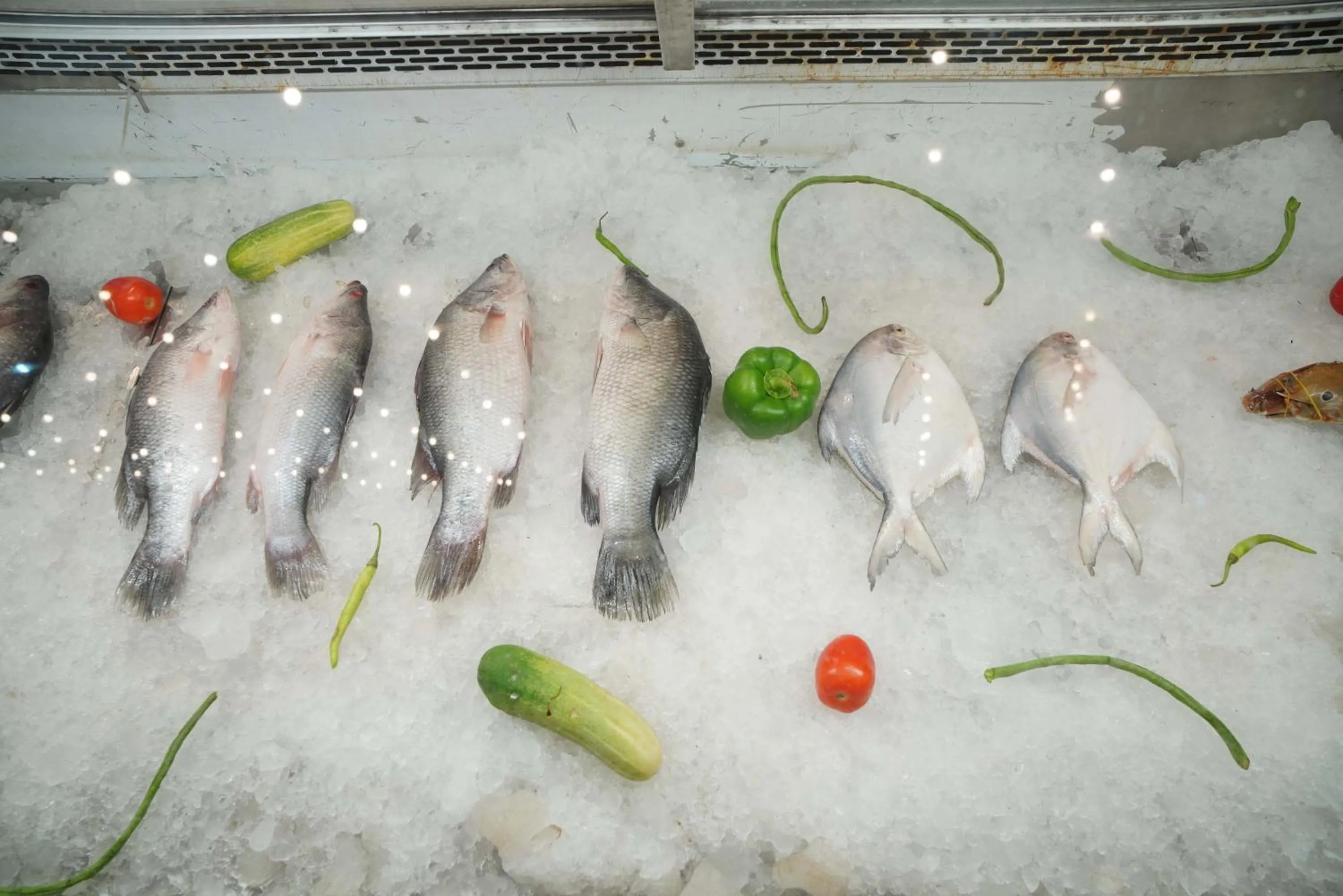 Hotel Kollol by J&Z Group