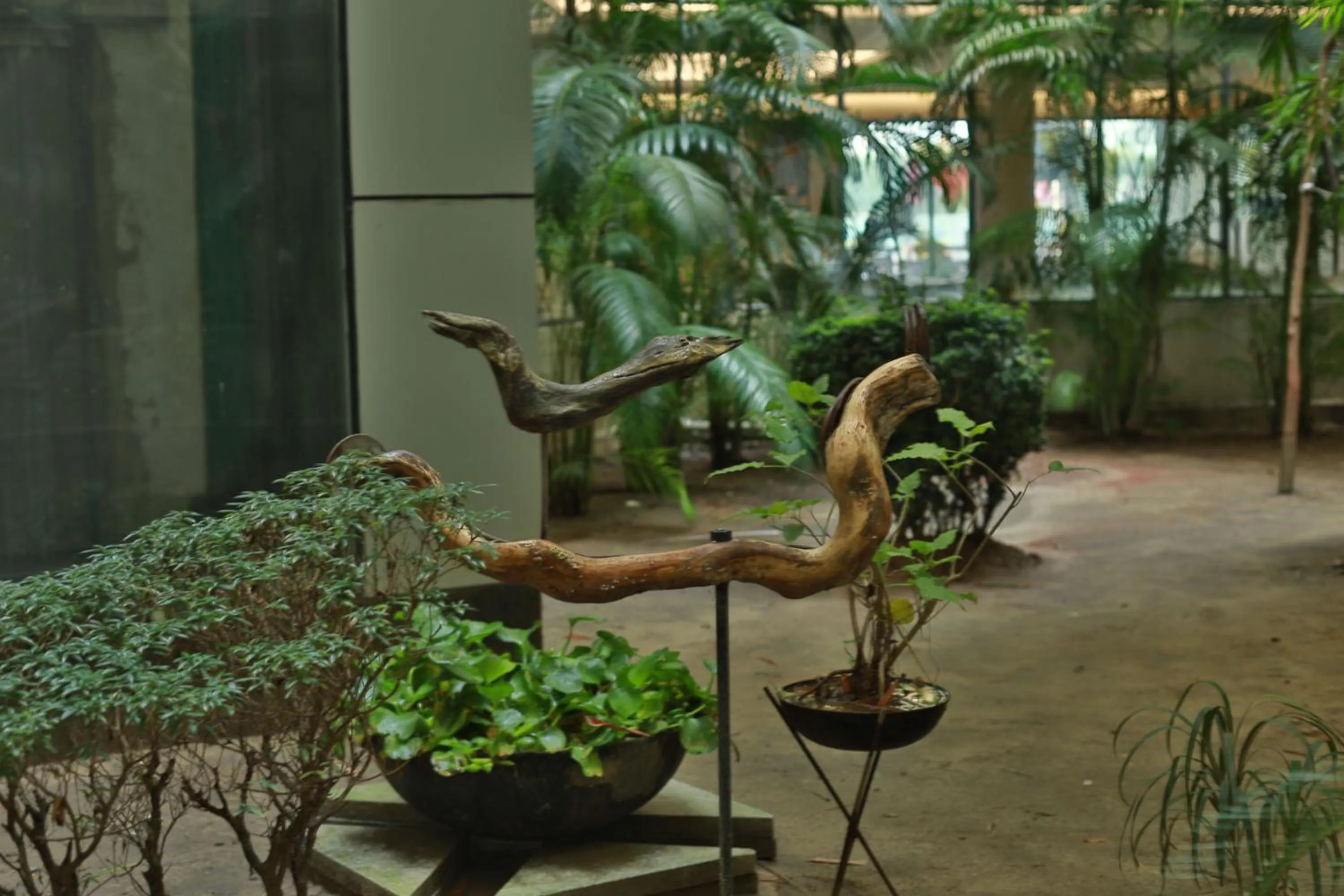 Hotel Kollol by J&Z Group