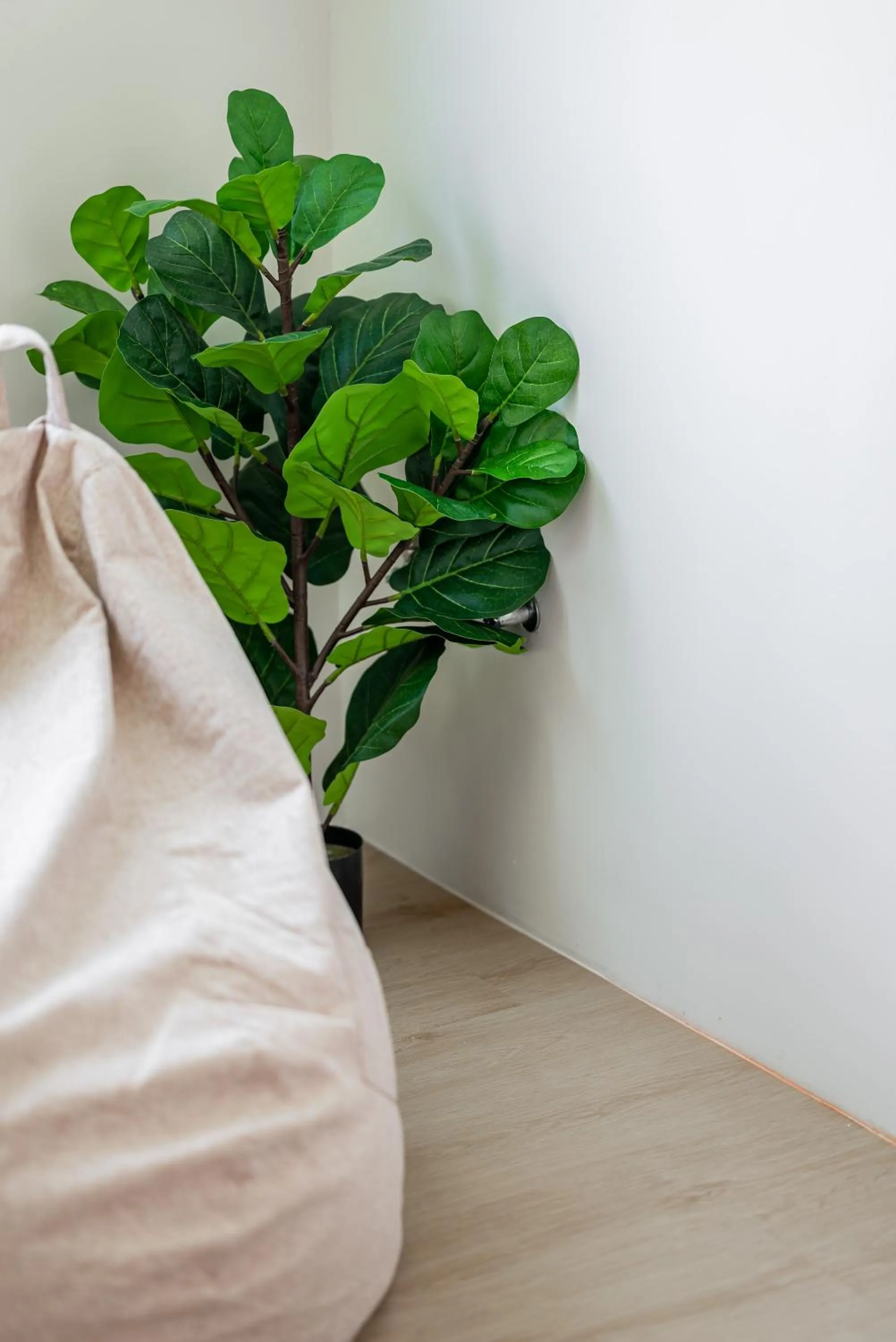 Photo of the whole room in Penghu SunSea Hall