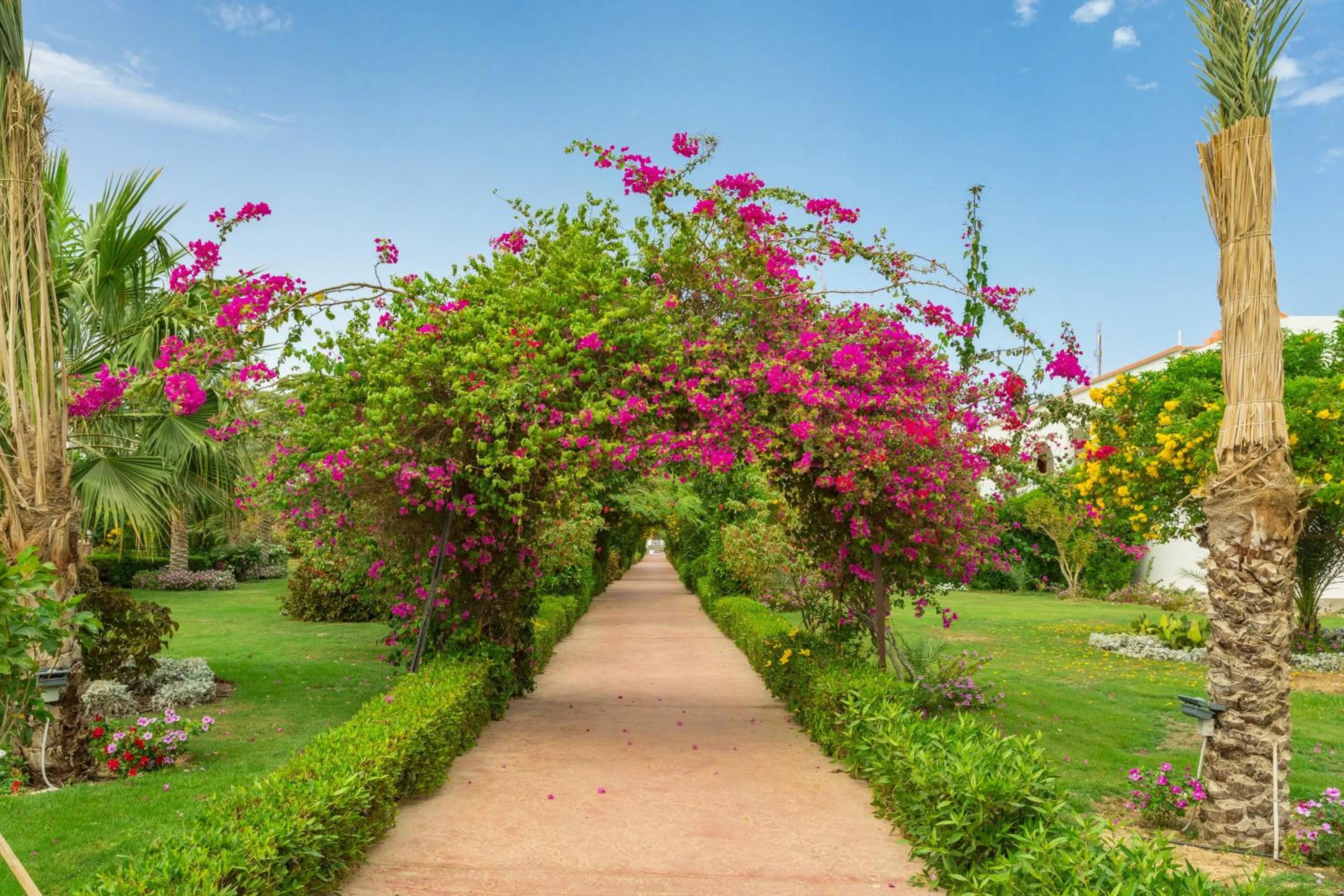 Garden view in Fantazia Resort Marsa Alam