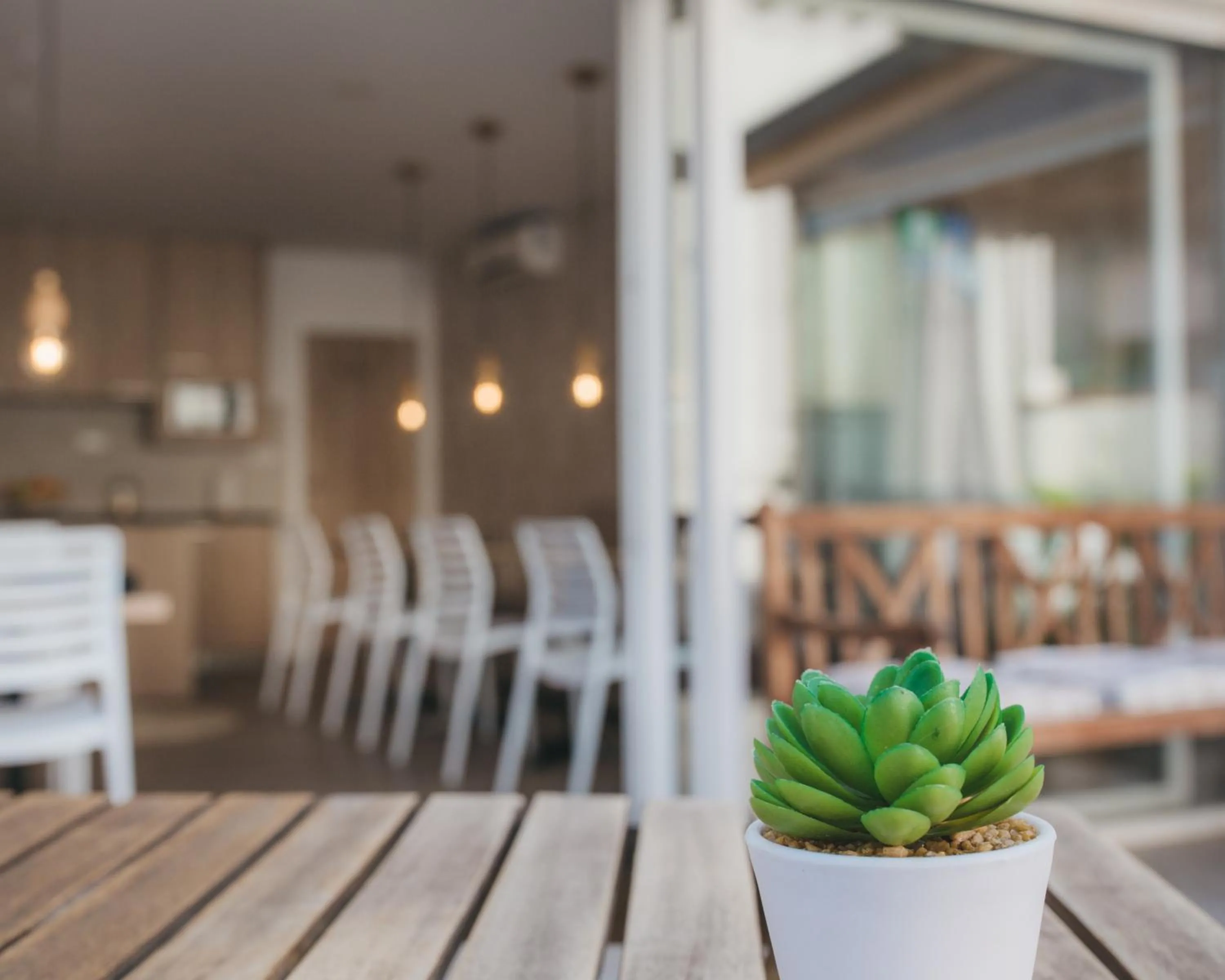 Garden in City Apartment One