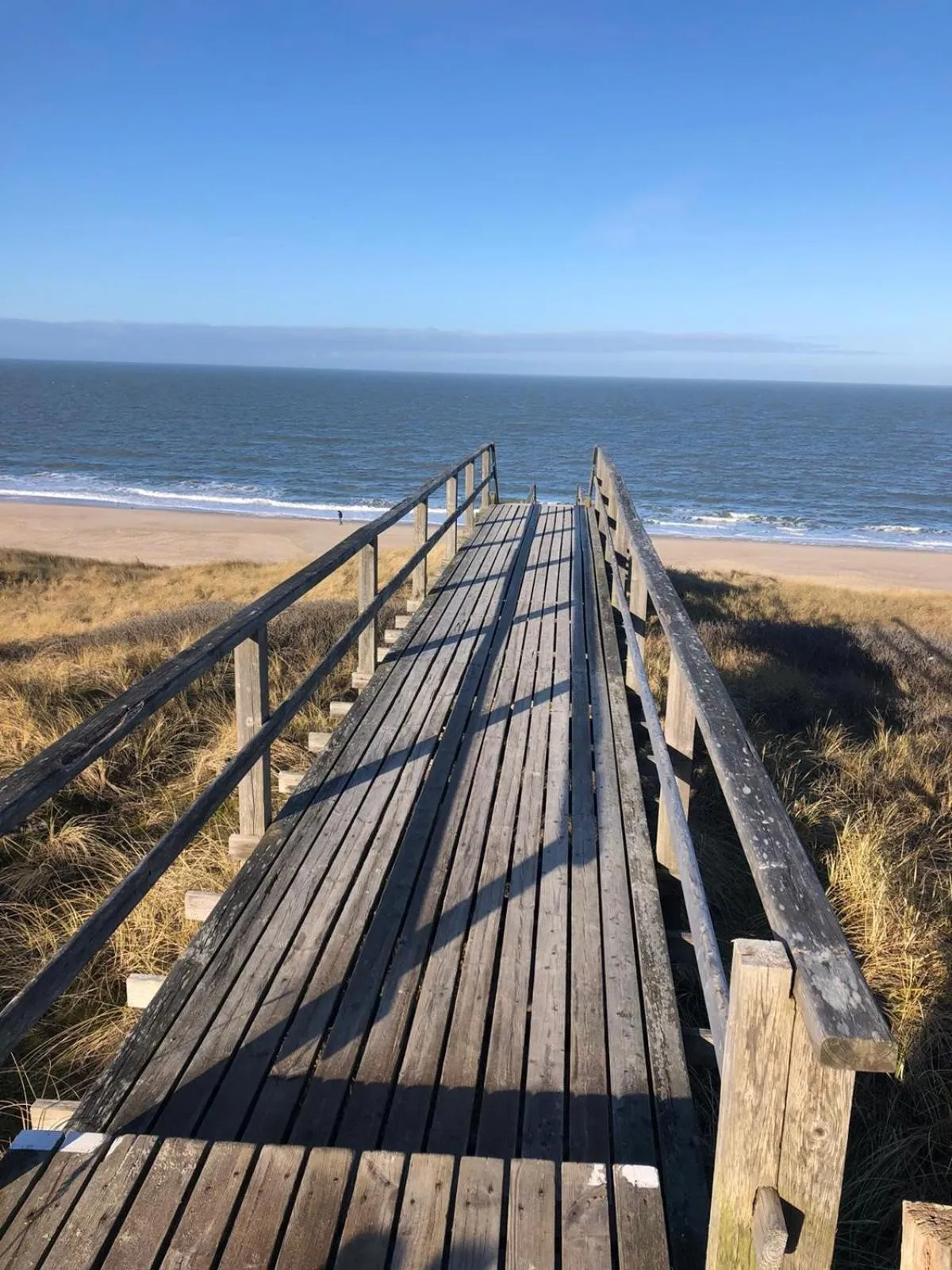 Natural landscape in Mimosa House