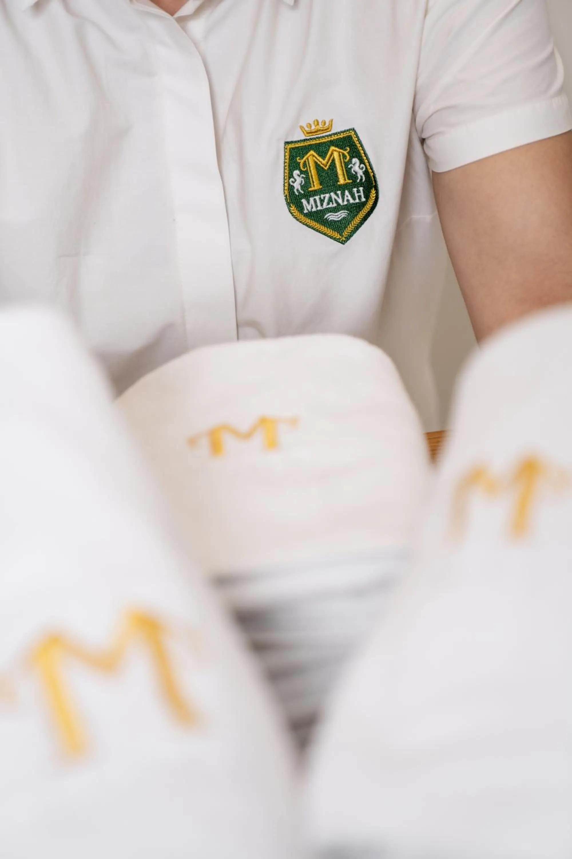 Property logo or sign in Miznah Hotels & Resorts