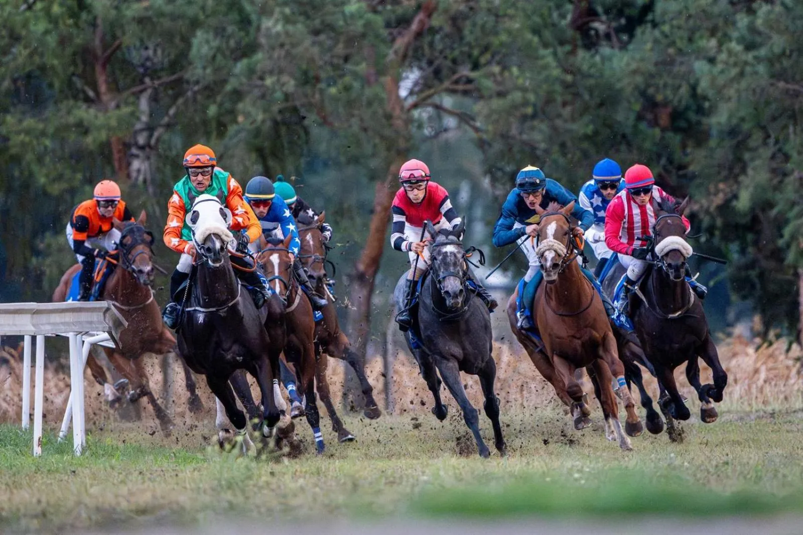 Horse-riding in Miznah Hotels & Resorts