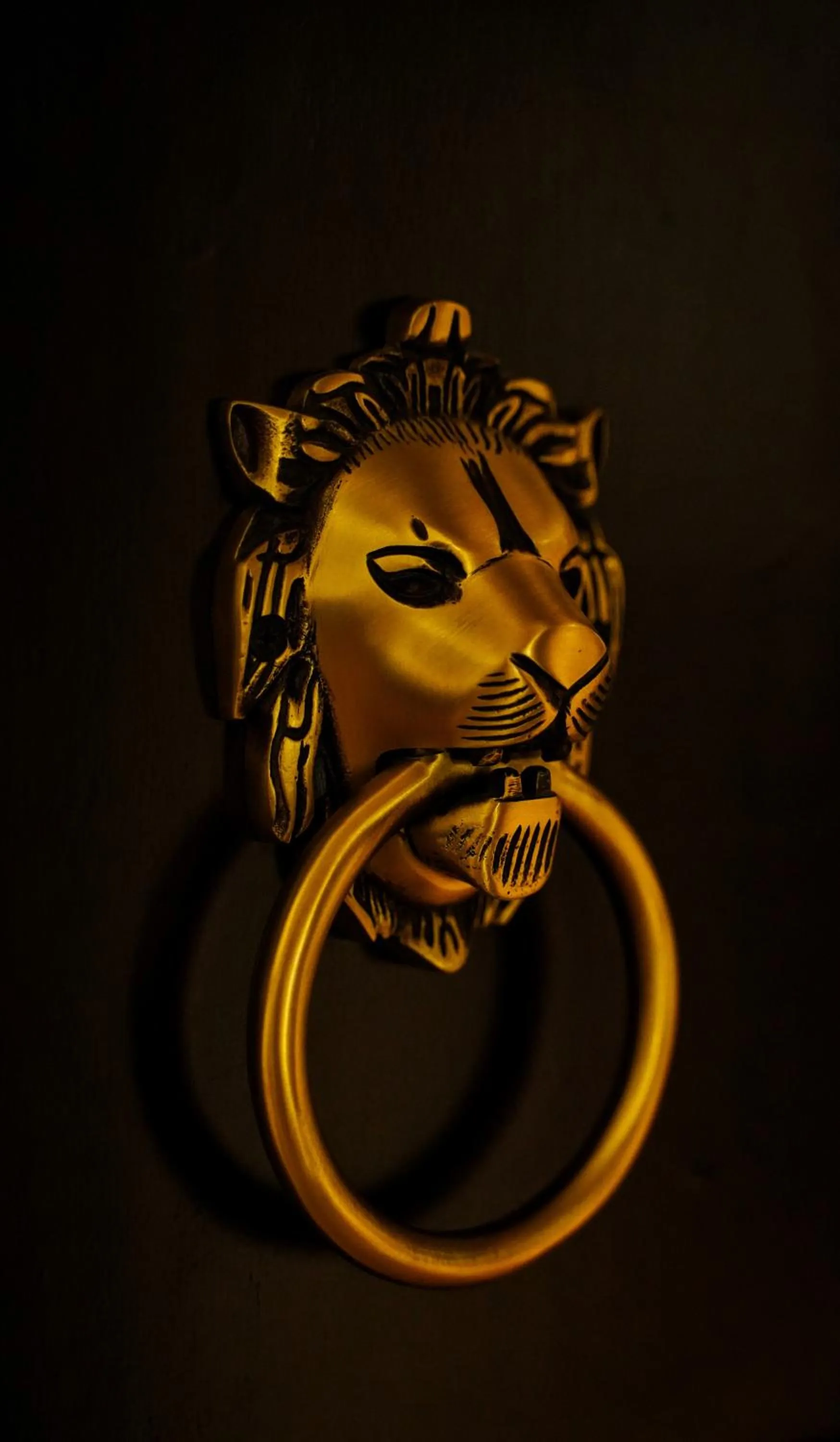 Logo/Certificate/Sign in Sahdev Bagh