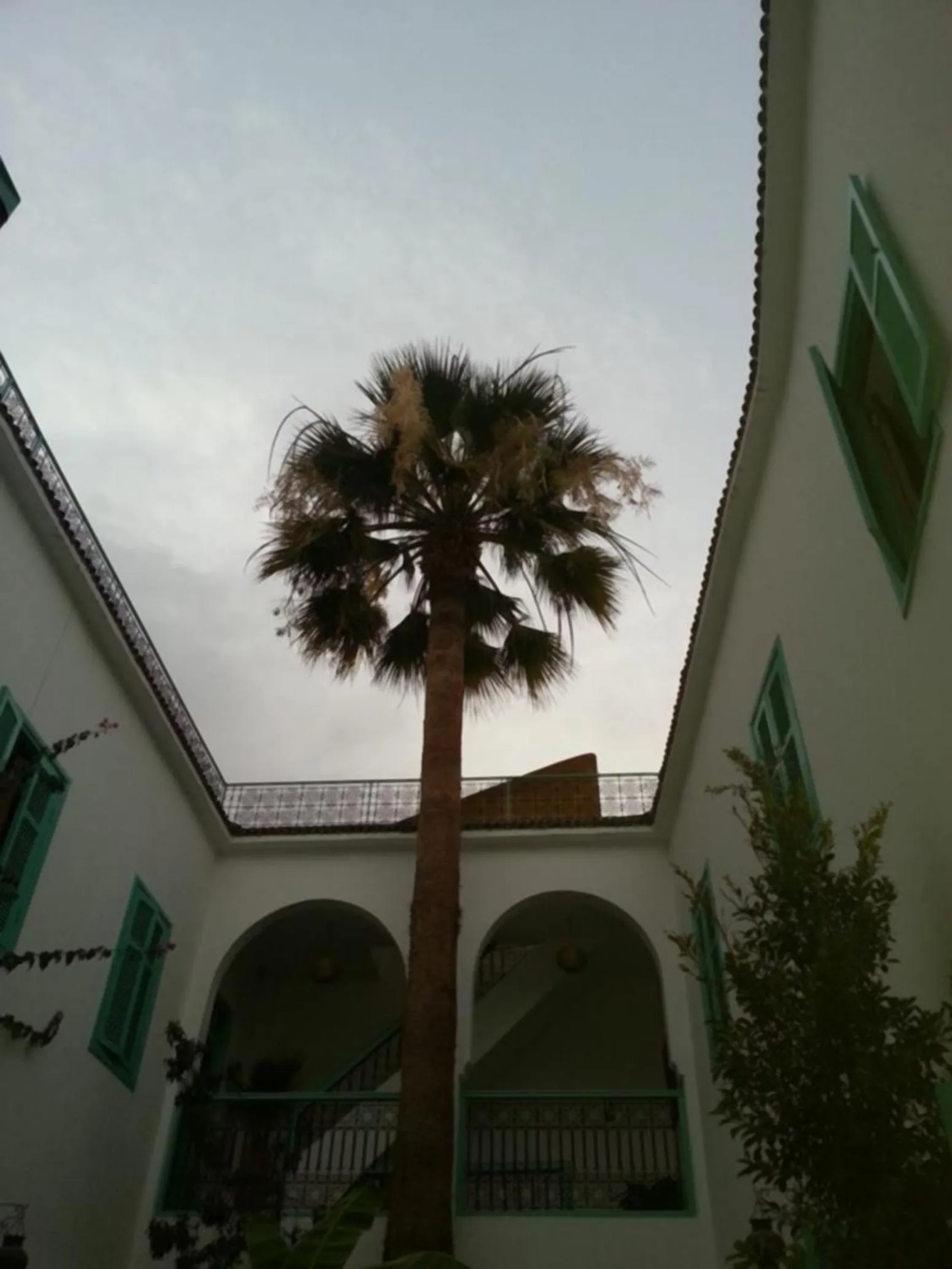 Decorative detail in Riad Dar Aida